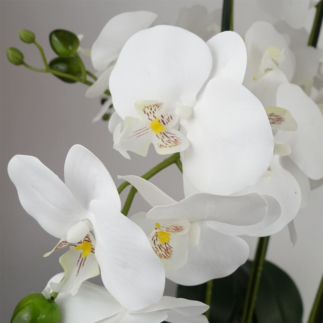 Orchid White - Marble Effect Ceramic Planter-1