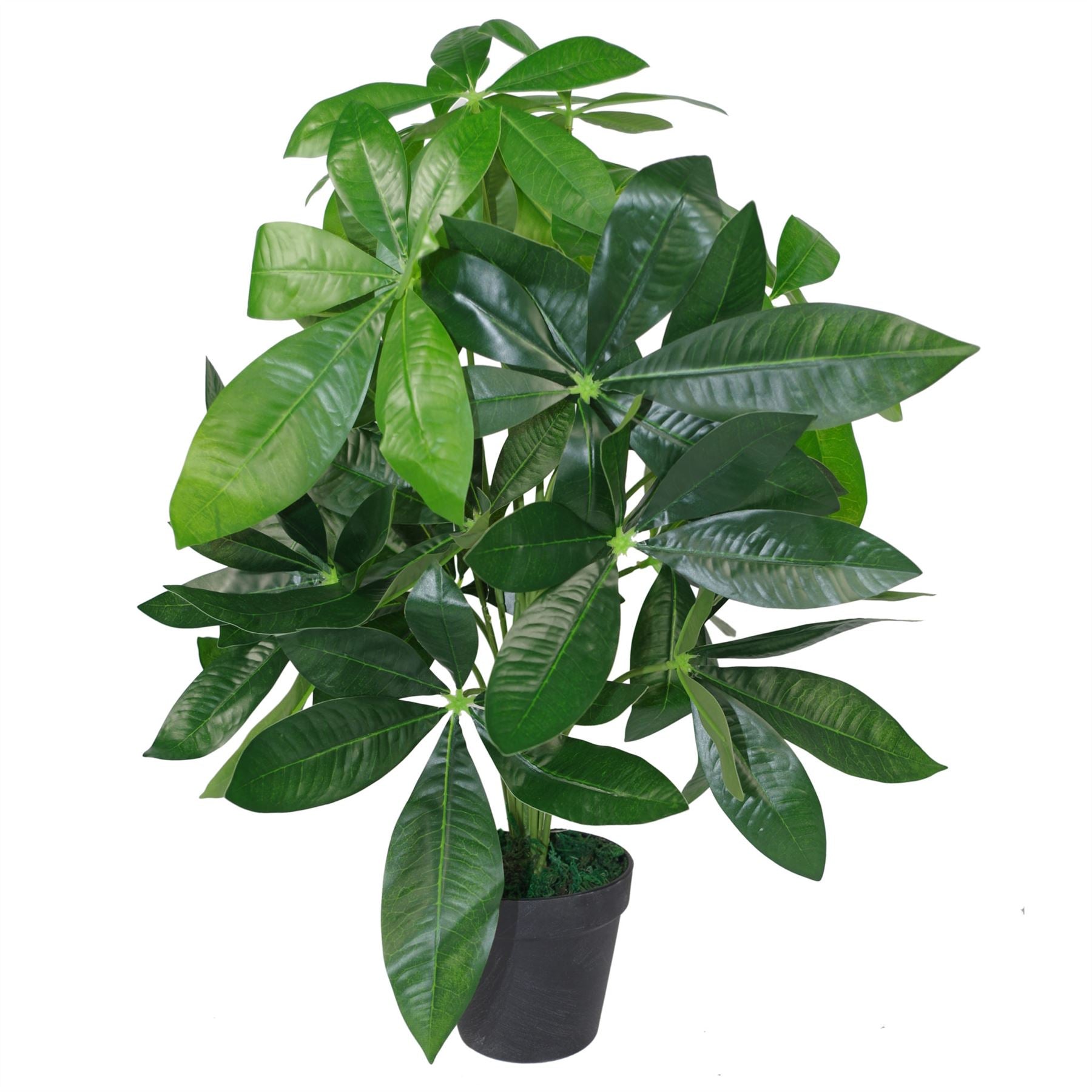 Artificial Foliage Plant Pot 50cm Artificial Money Tree Plants-2