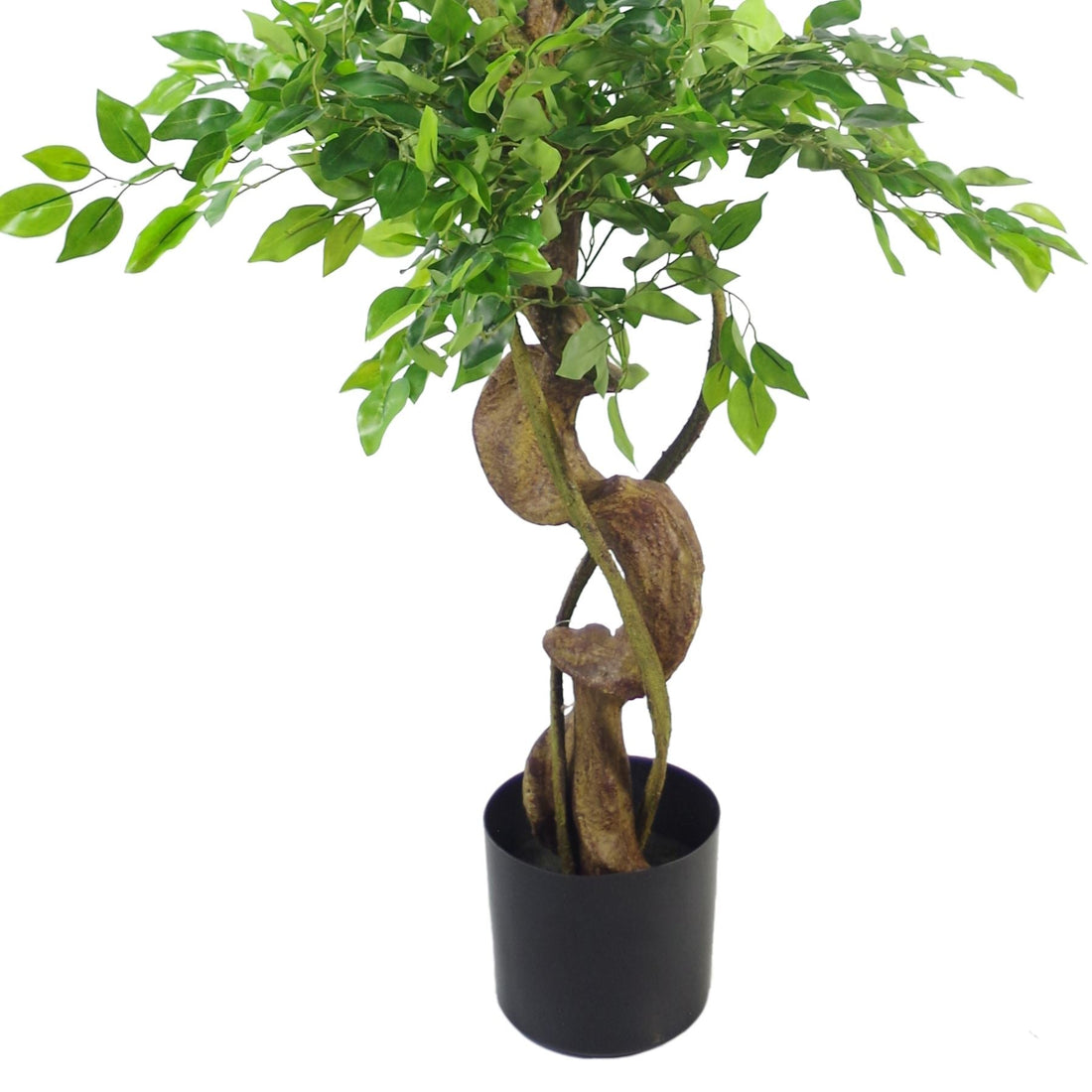 Japanese Fruticosa Ficus Tree Silver Planter 150cm Twisted Trunk Artificial Botanik-1