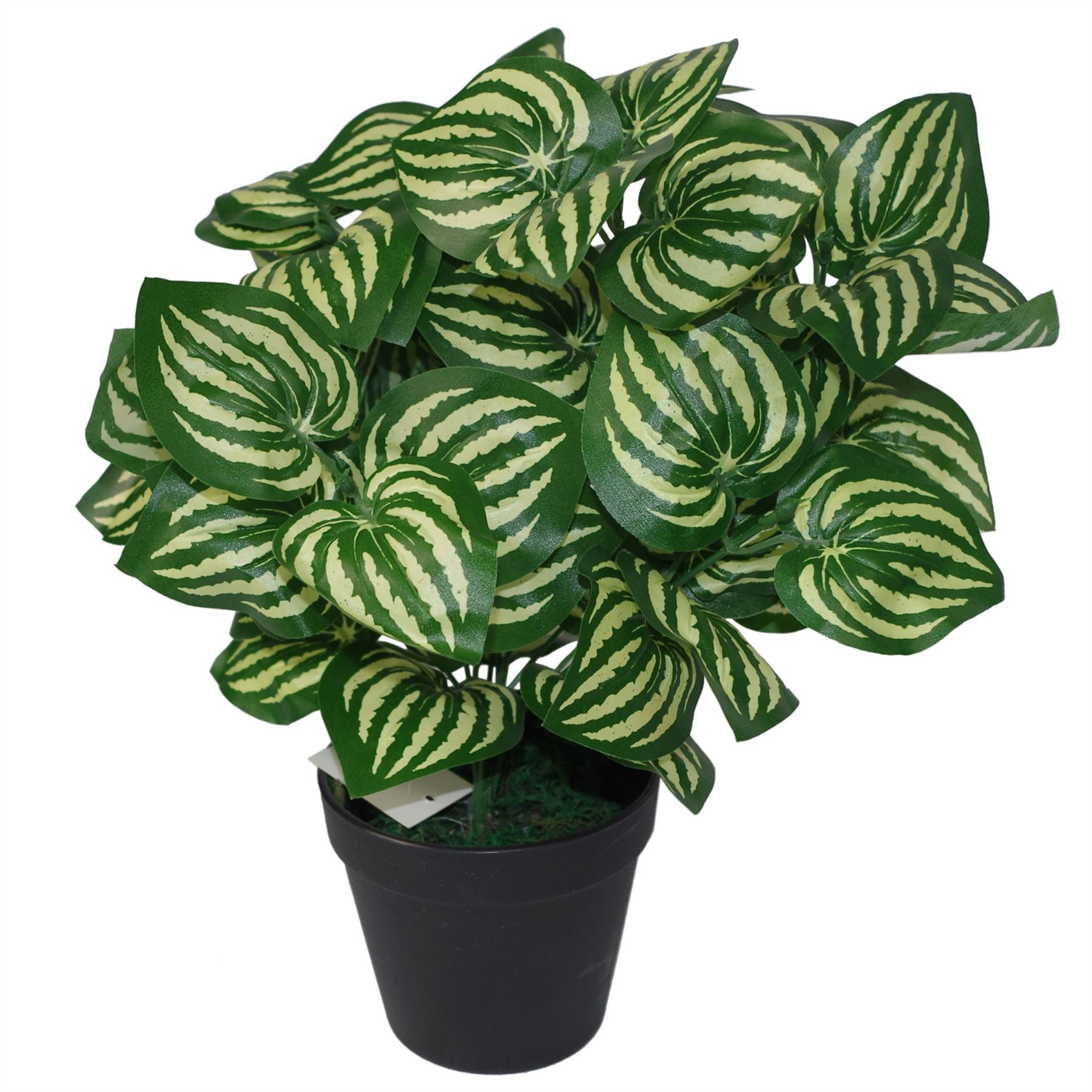 Artificial Foliage Plant Pot 40cm Watermelon Plants-2