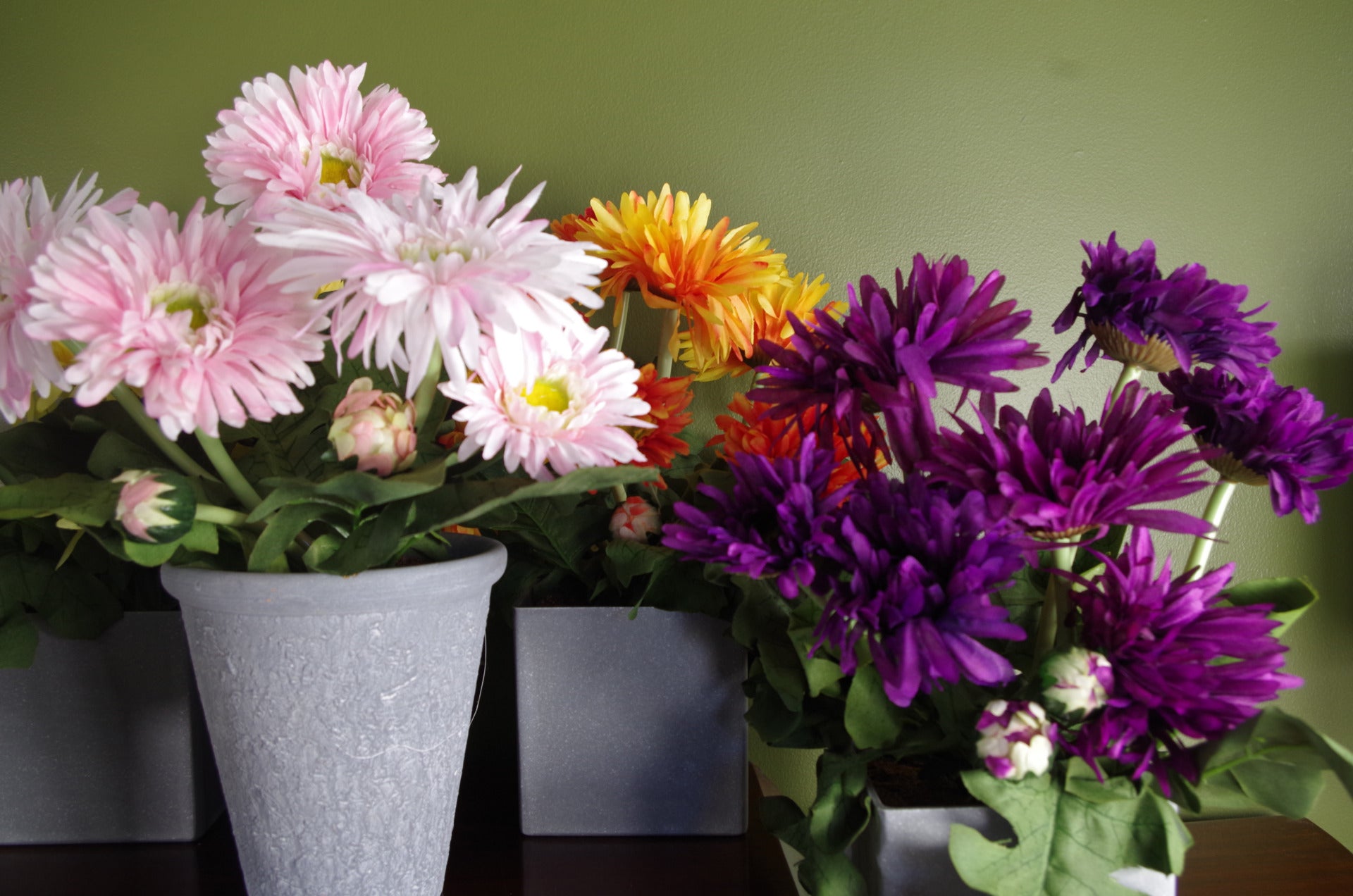Artificial Daisy Plant | Daisy Plant | Everlasting Greenery Co.