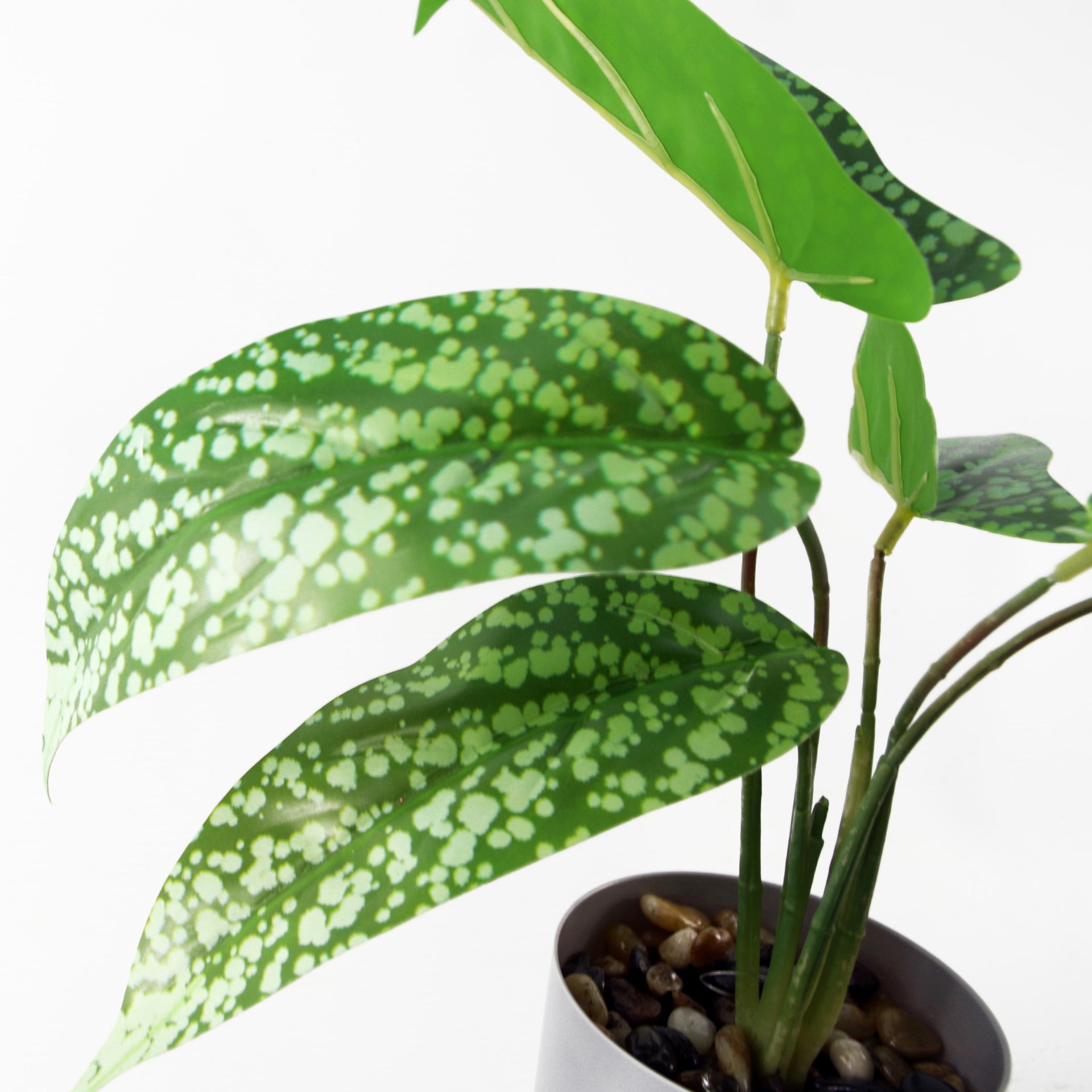 Artificial Spotted Plant | Spotted Plant | Everlasting Greenery Co.