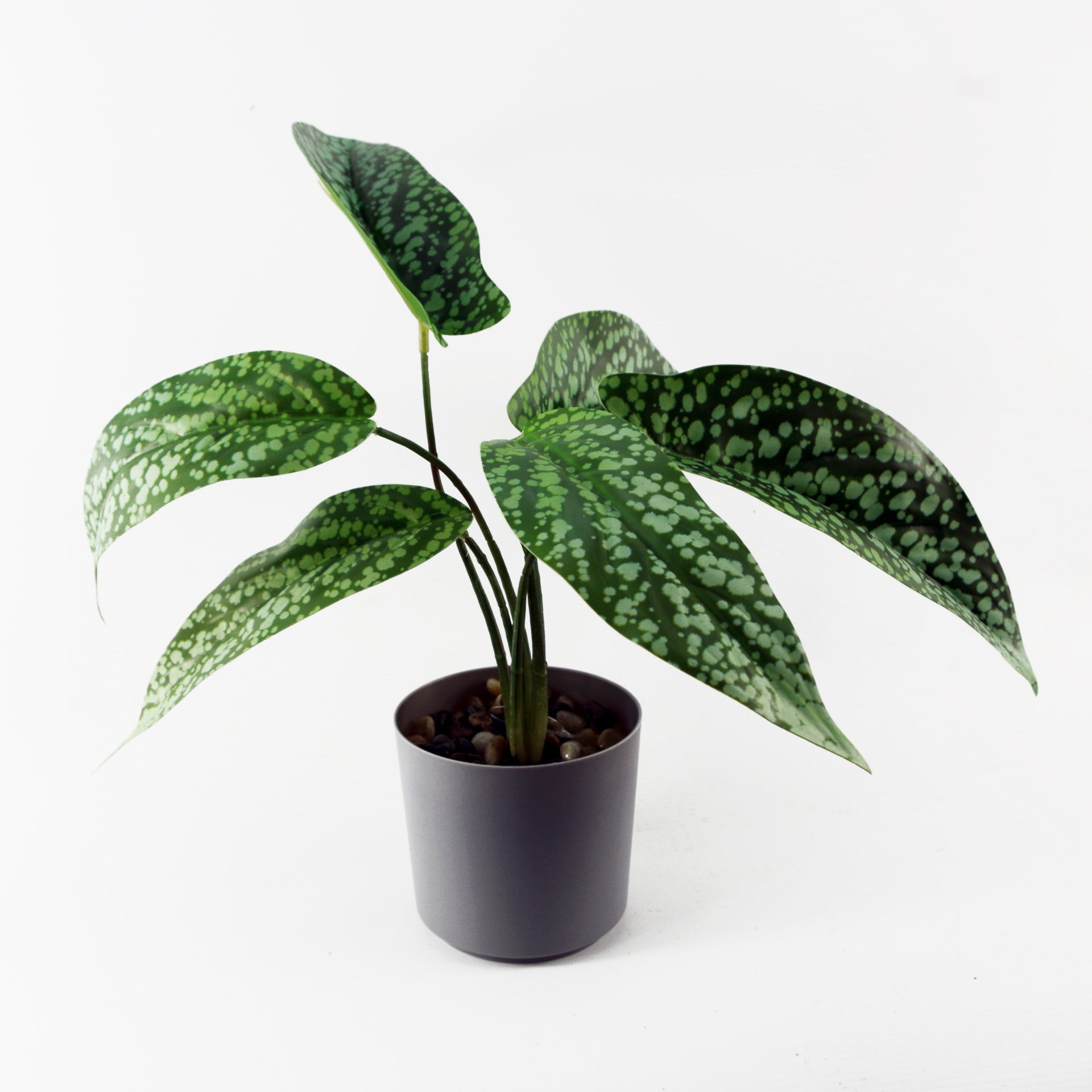 Artificial Spotted Plant | Spotted Plant | Everlasting Greenery Co.