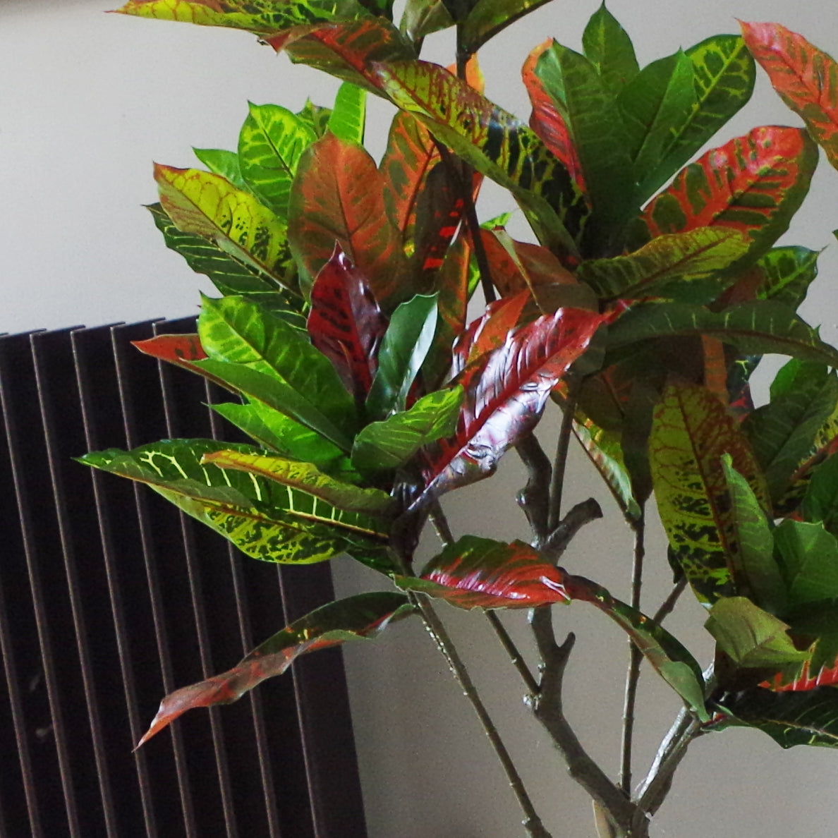 Artificial Codiaeum Plant | Codiaeum Plant | Everlasting Greenery Co.