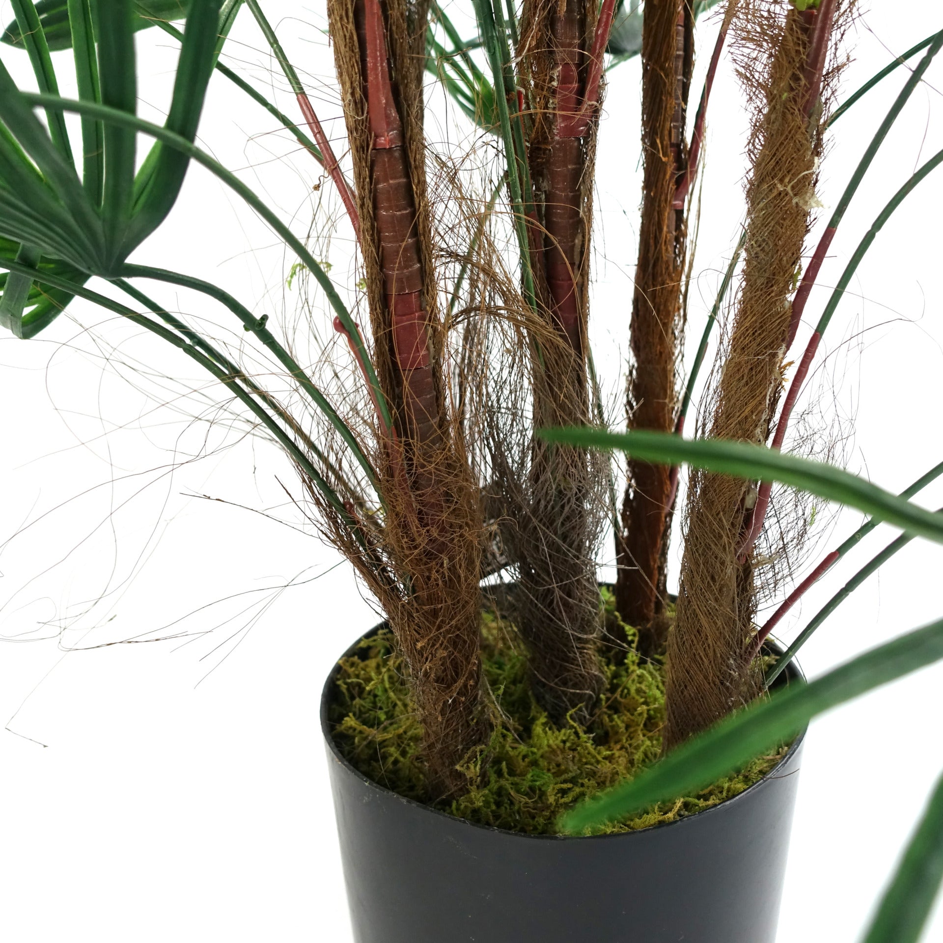 Artificial Fan Palm Tree | Fan Palm Tree | Everlasting Greenery Co.