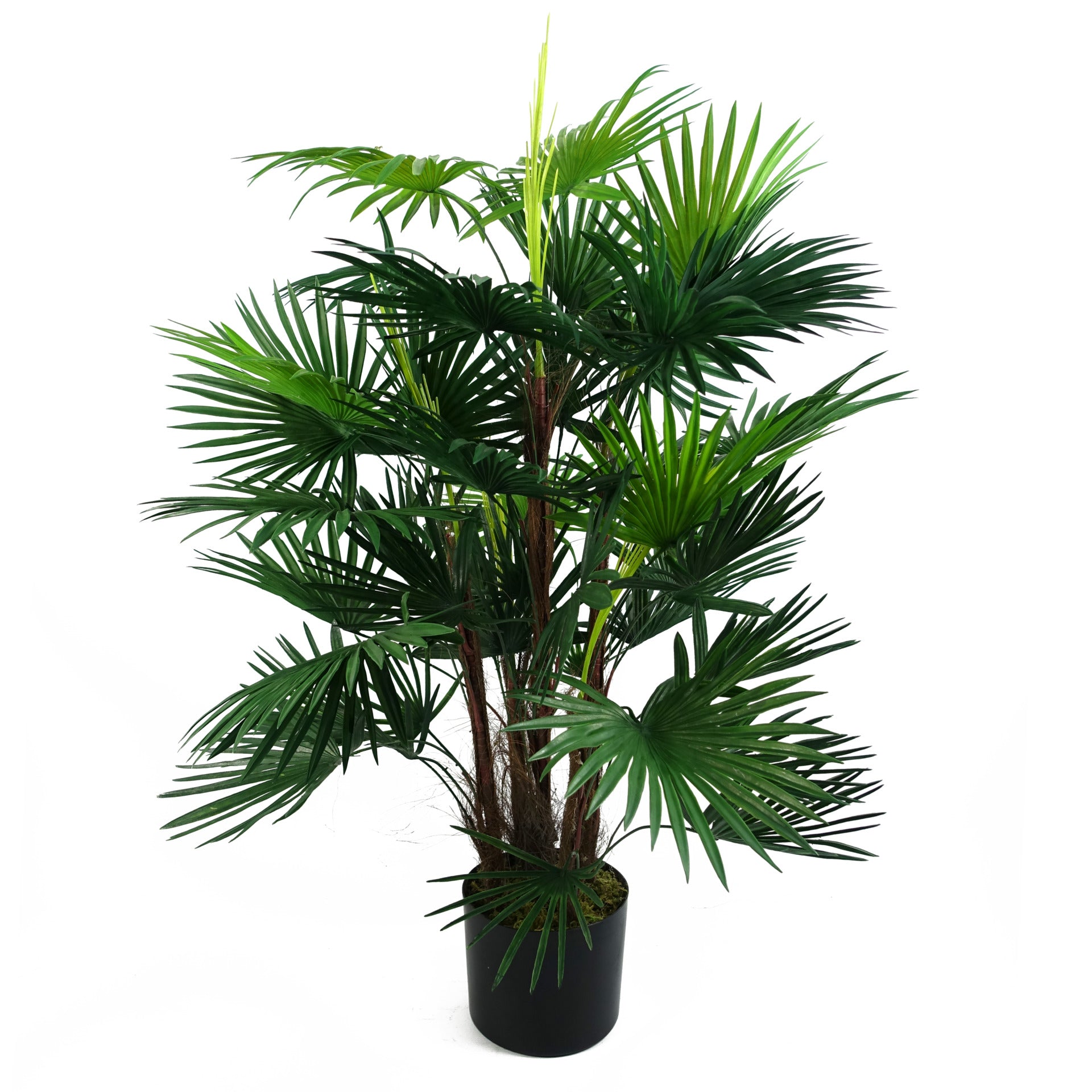 Artificial Fan Palm Tree | Fan Palm Tree | Everlasting Greenery Co.