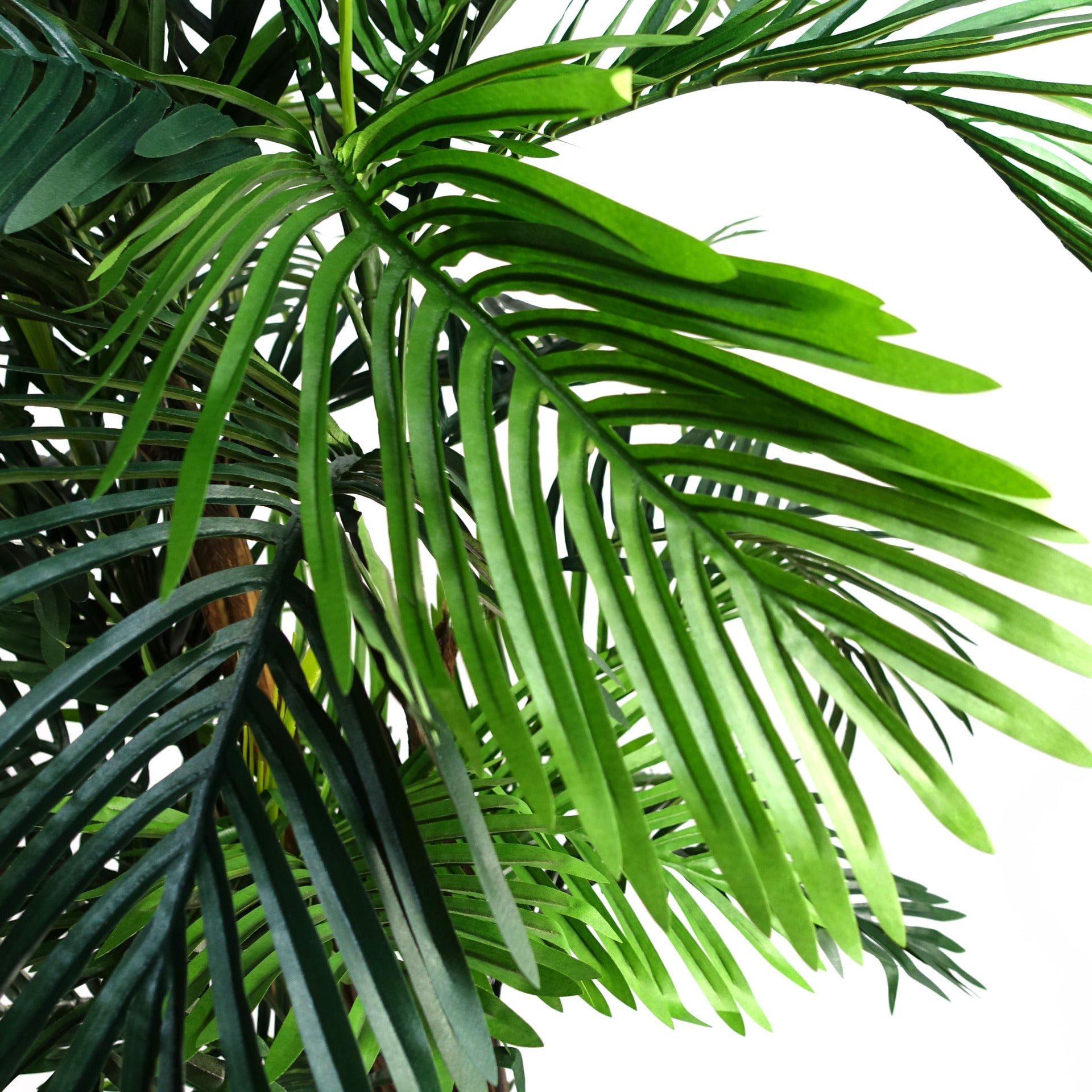 Artificial Palm Tree | Faux Areca Tree | Everlasting Greenery Co.