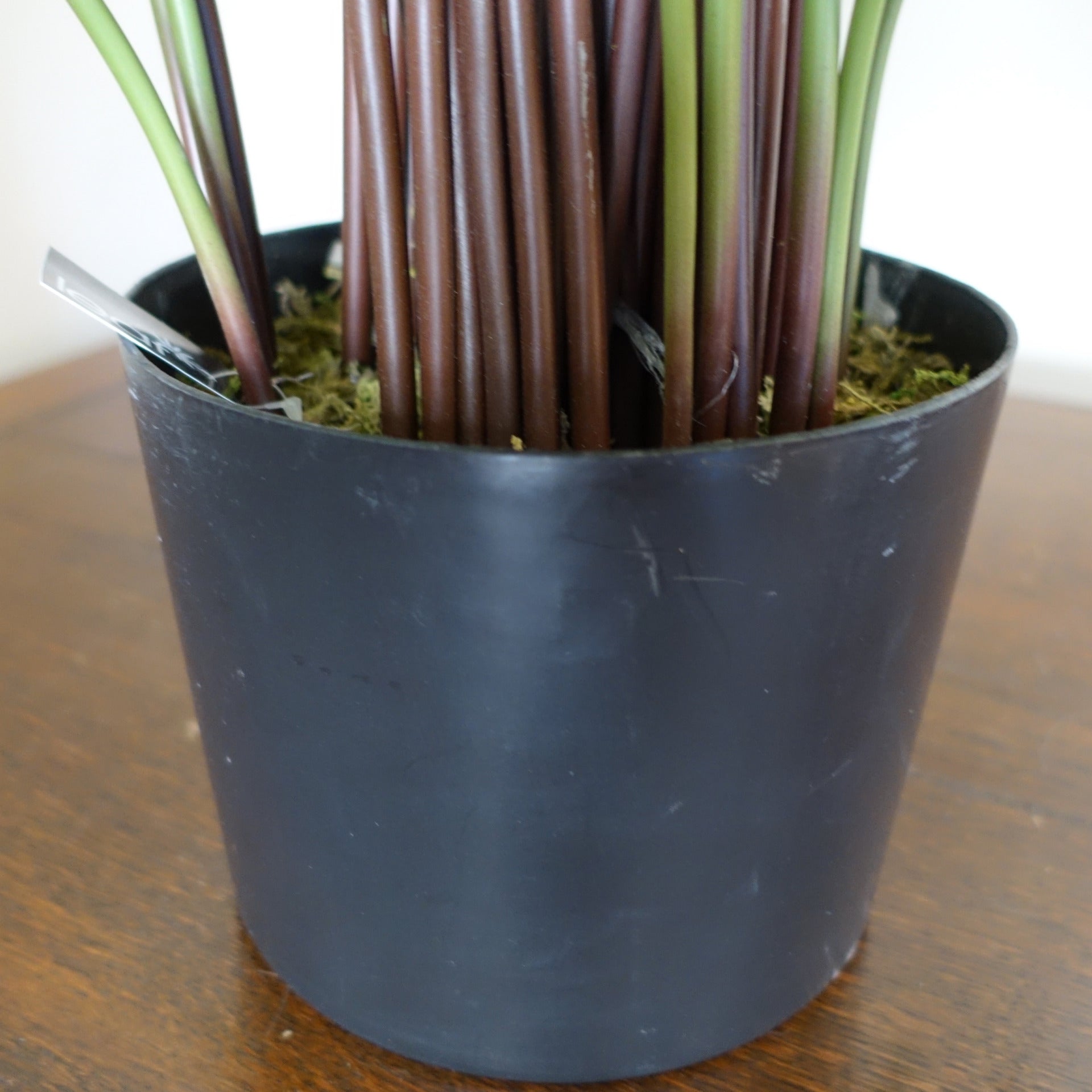 Faux Calathea Plant | Fake Calathea Plant | Everlasting Greenery Co.