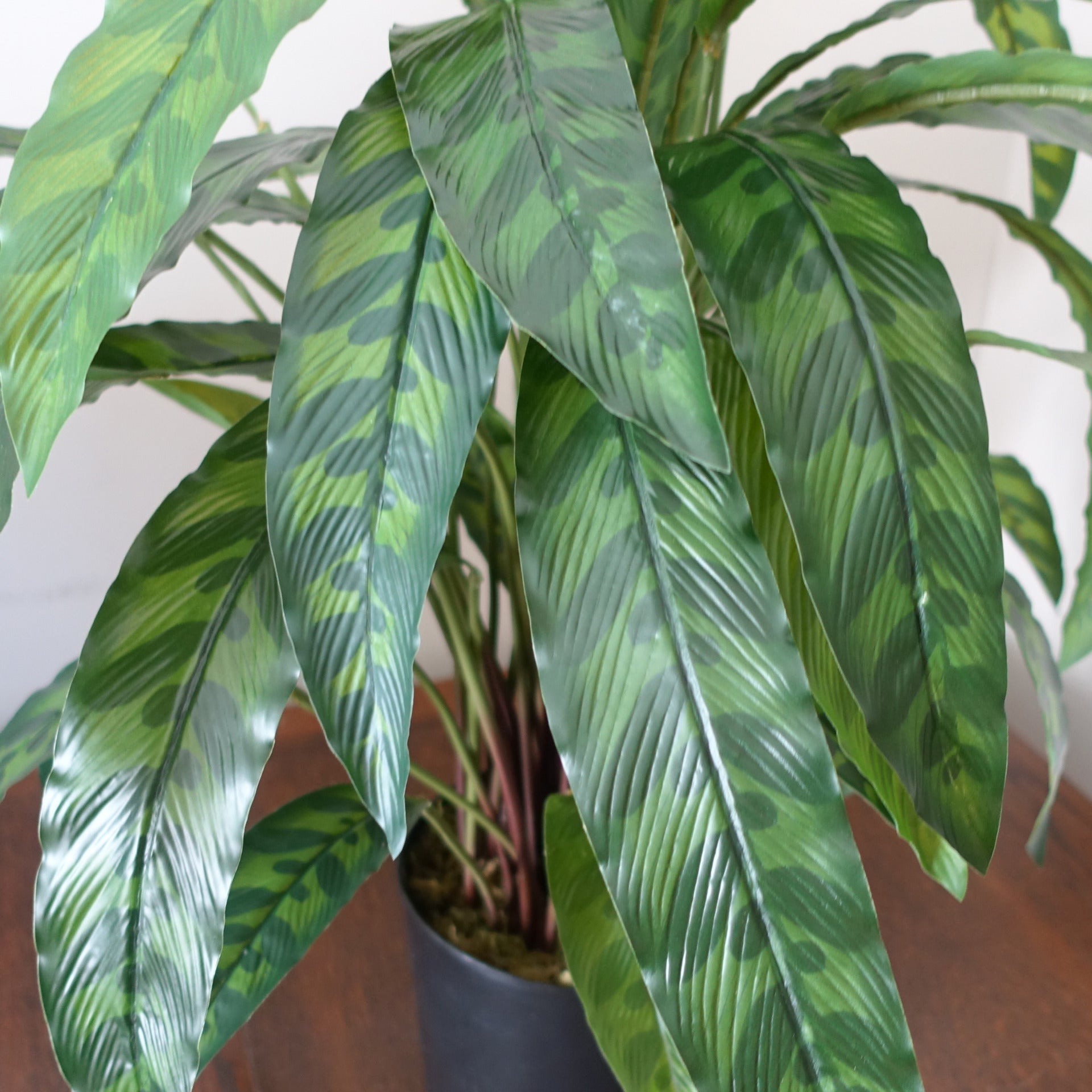 Artificial Calathea Plant | Calathea Plant | Everlasting Greenery Co.