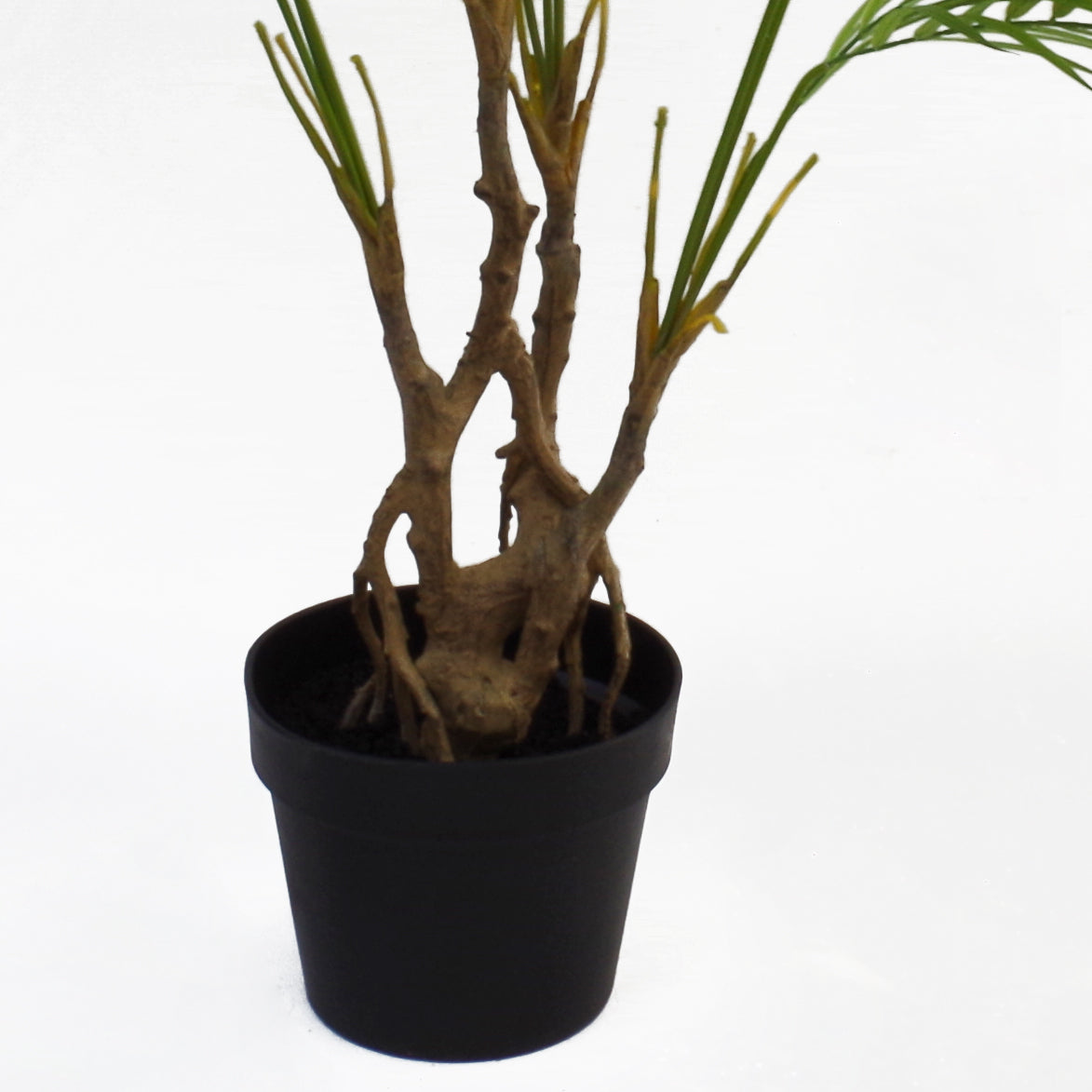 Green Areca Palm Plant | Green Areca Plant | Everlasting Greenery Co.