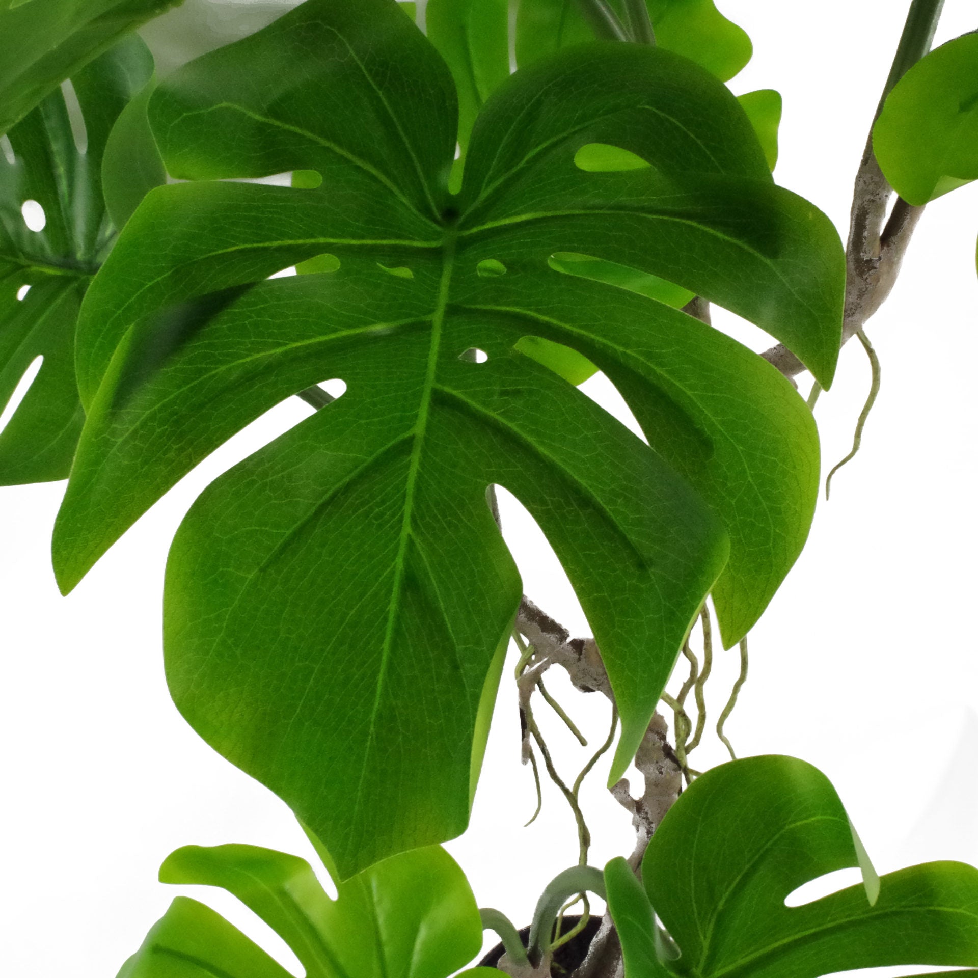 Monstera Fake Plant | Faux Monstera Plant | Everlasting Greenery Co.