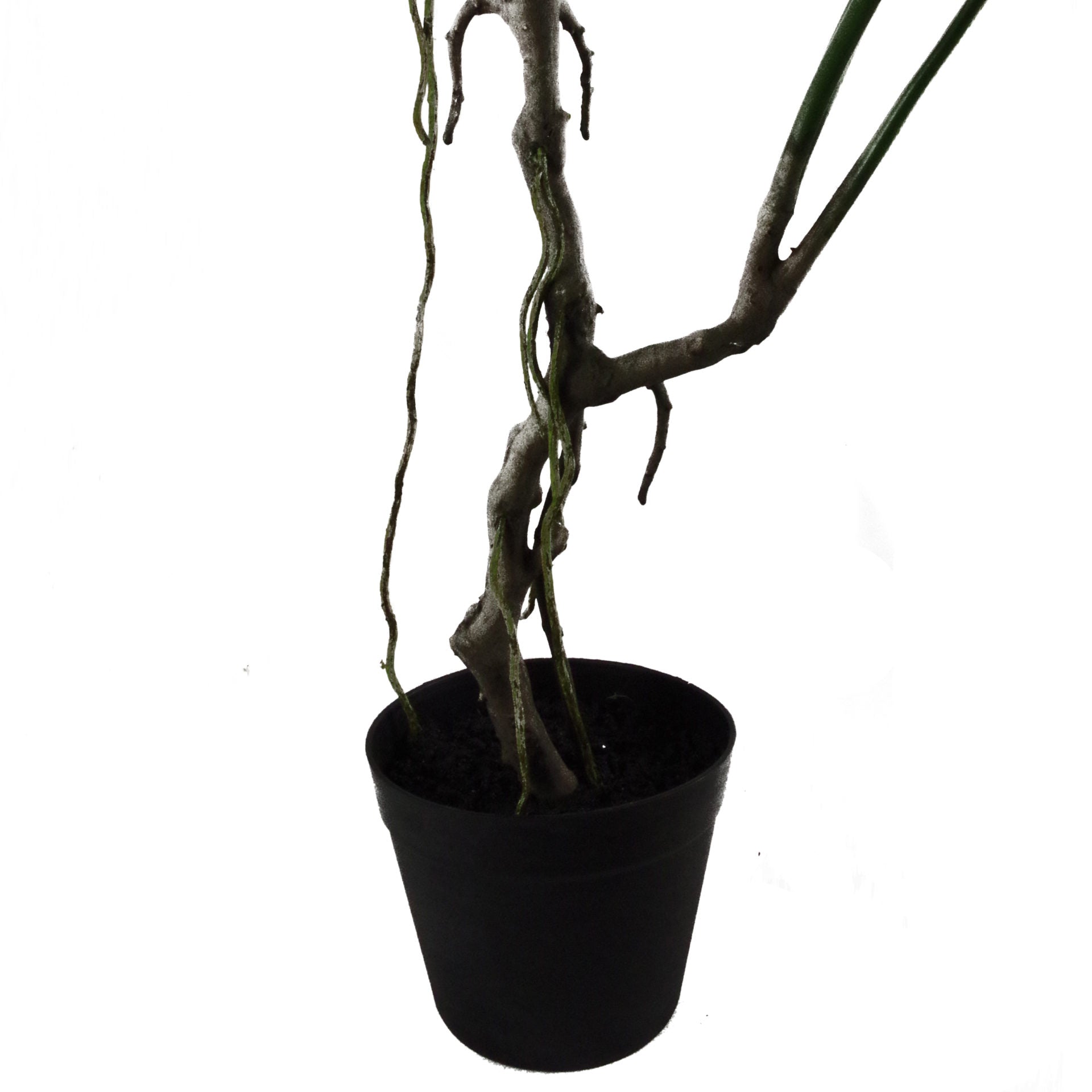Monstera Fake Plant | Faux Monstera Plant | Everlasting Greenery Co.