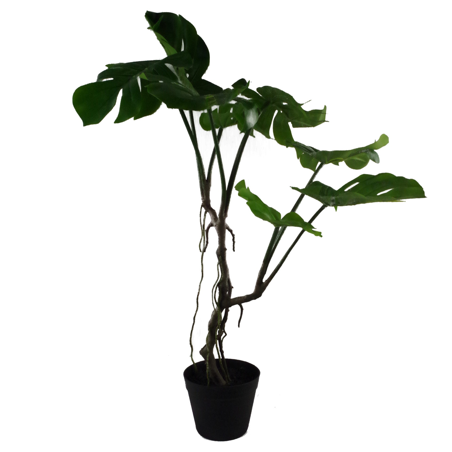 Monstera Fake Plant | Faux Monstera Plant | Everlasting Greenery Co.
