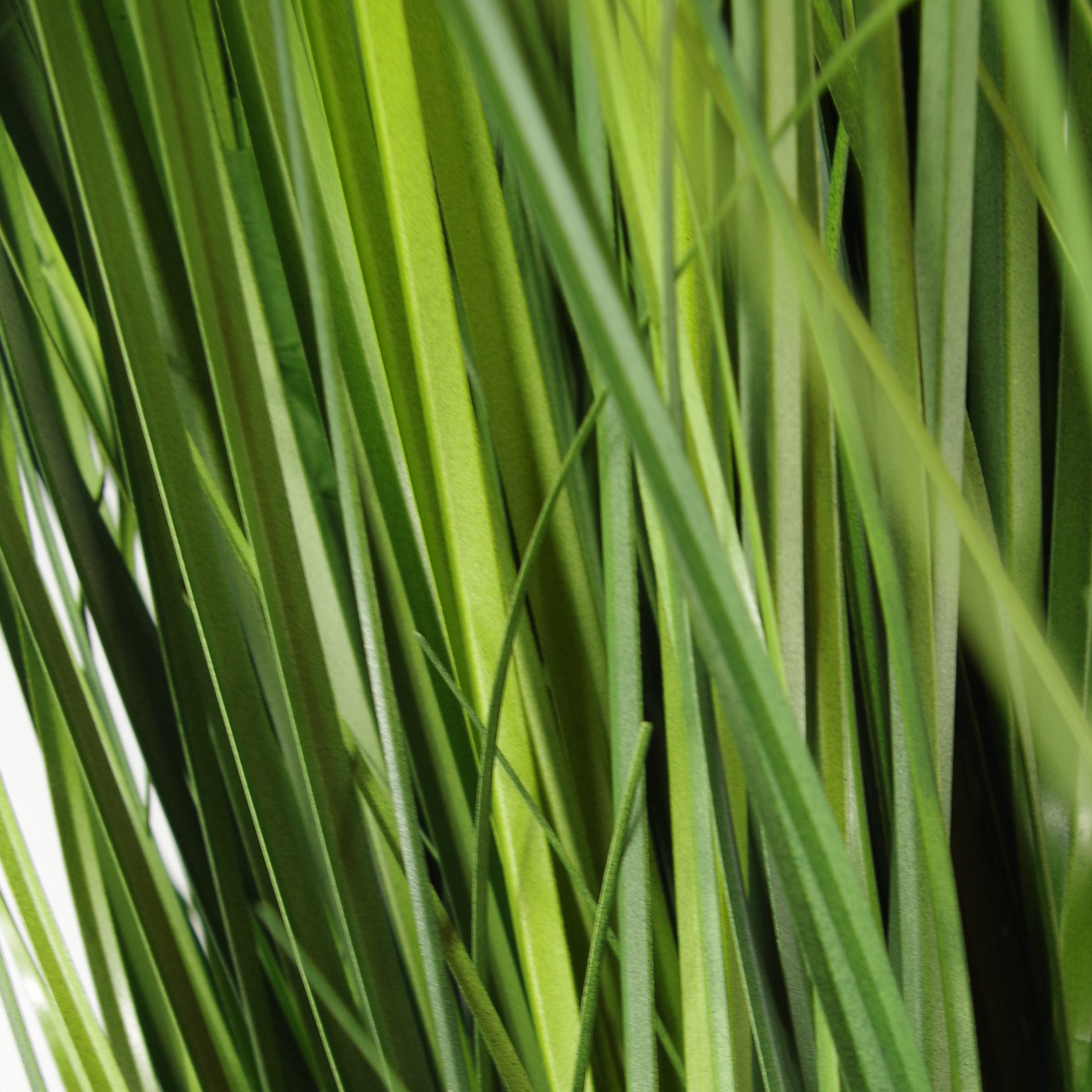 Onion Grass Plant | Fake Onion Plant | Everlasting Greenery Co.