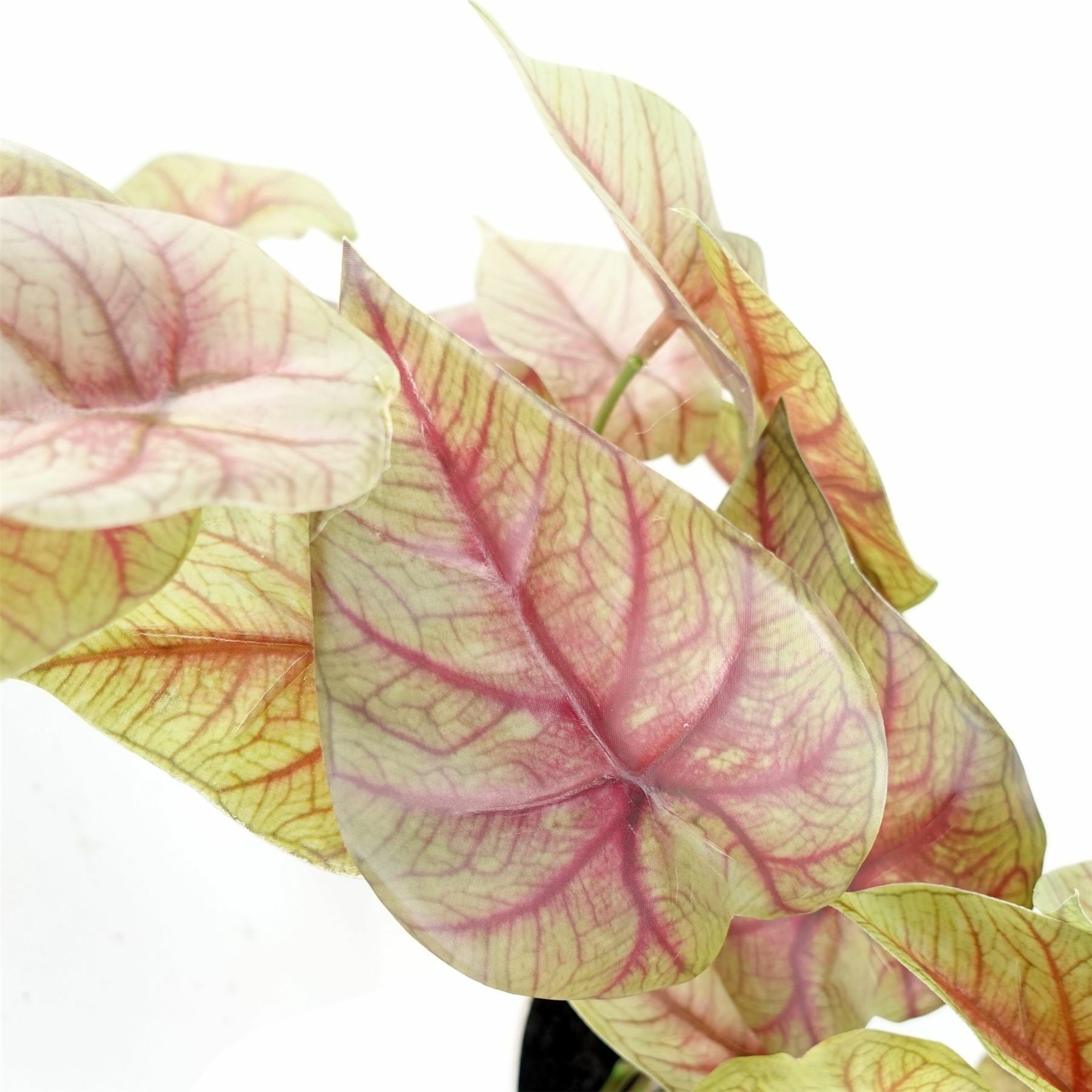 30cm Artificial Pink Caladium Trailing Plant-3