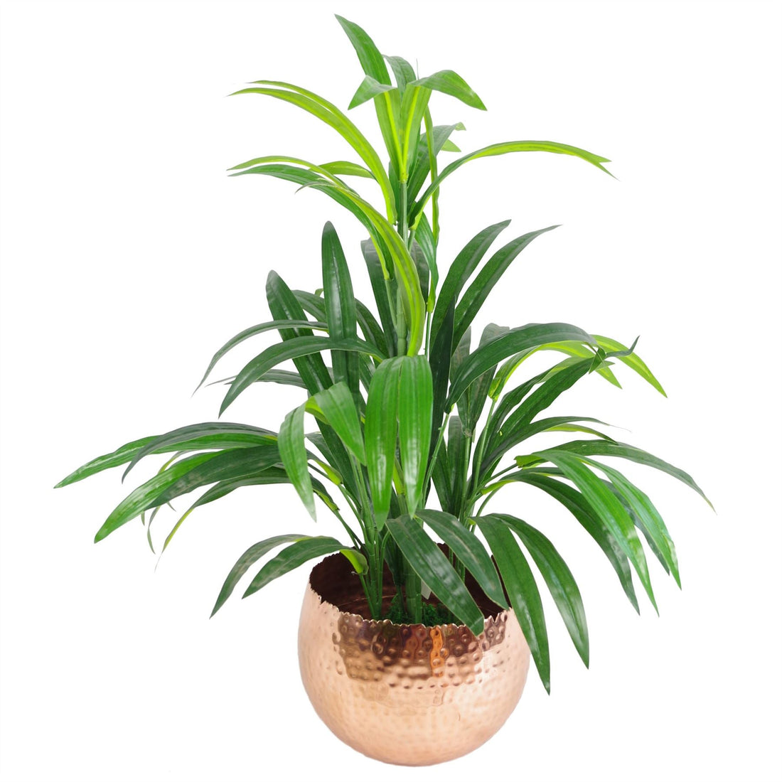 Large Metal Planter Edge Metal Planter 17cm-1