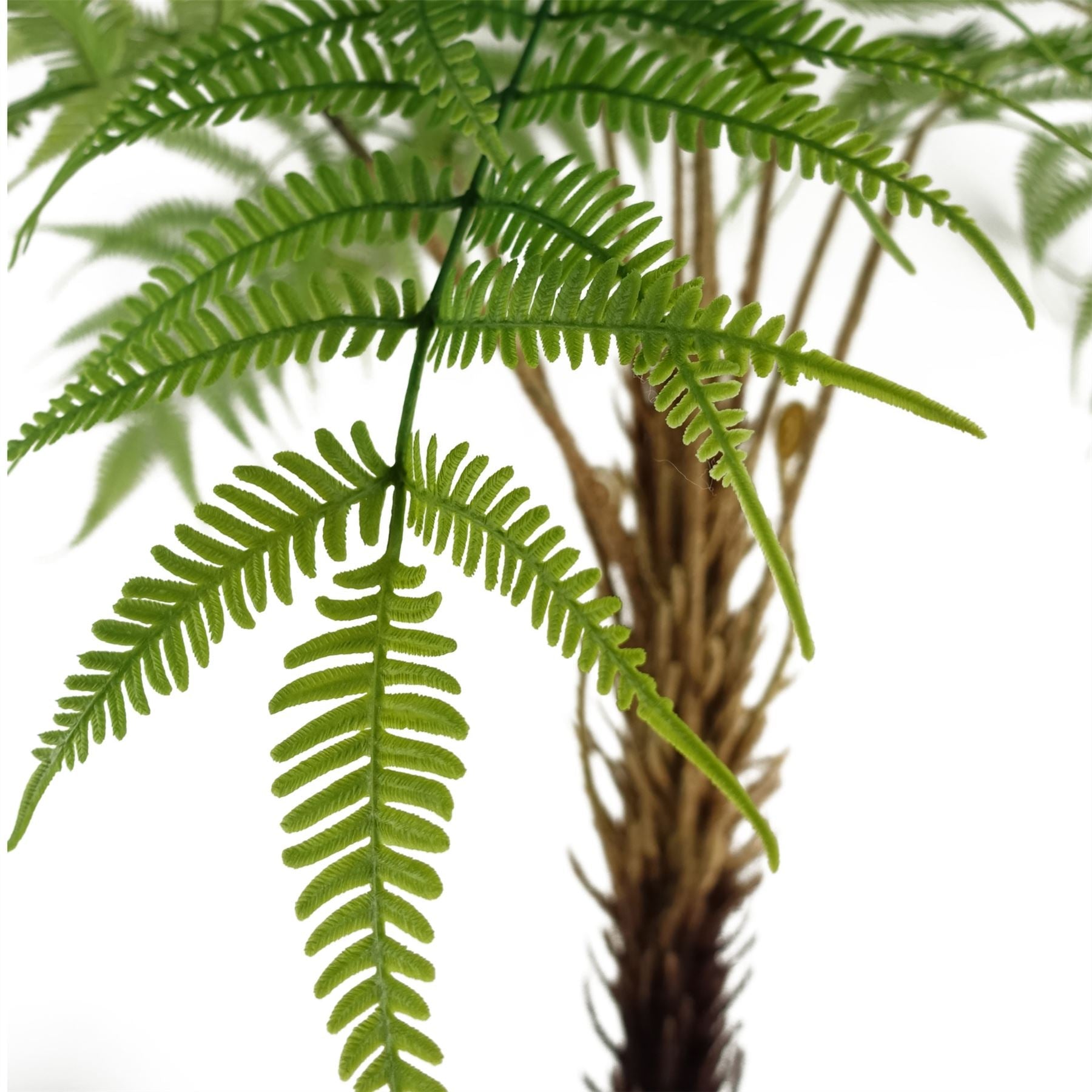 Artificial Fern Tree Look-3