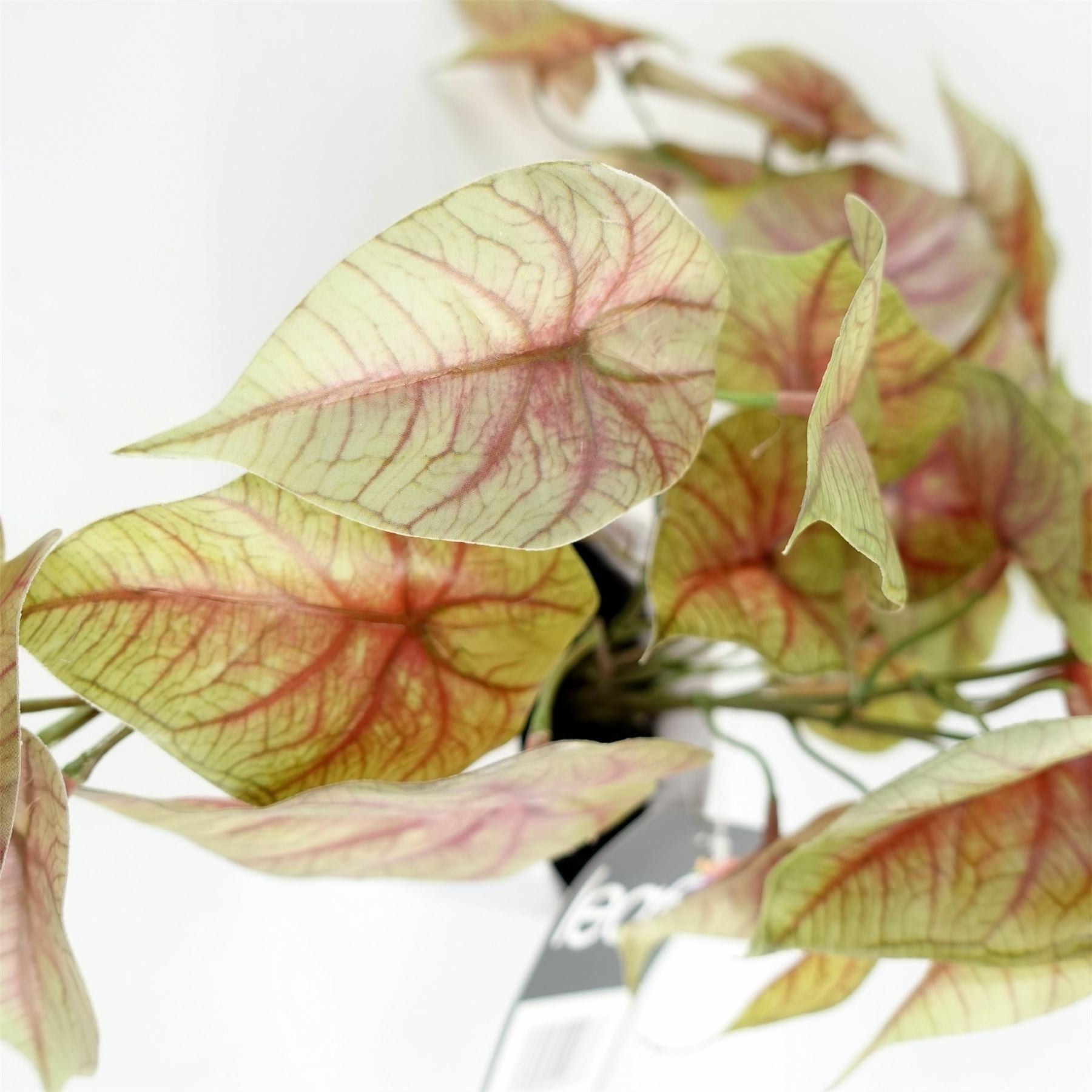 30cm Artificial Pink Caladium Trailing Plant-2