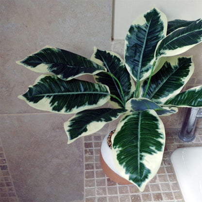 Artificial Pothos Variegated Plant Planter 40cm-2