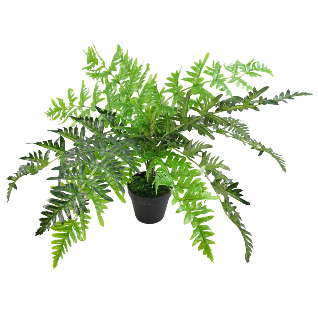 Artificial Fern Plant 50cm Fern Plants-0