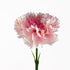 12 x Pink Carnation Artificial Flower-0