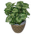 Artificial Foliage Plant Pot 40cm Watermelon Plants-0