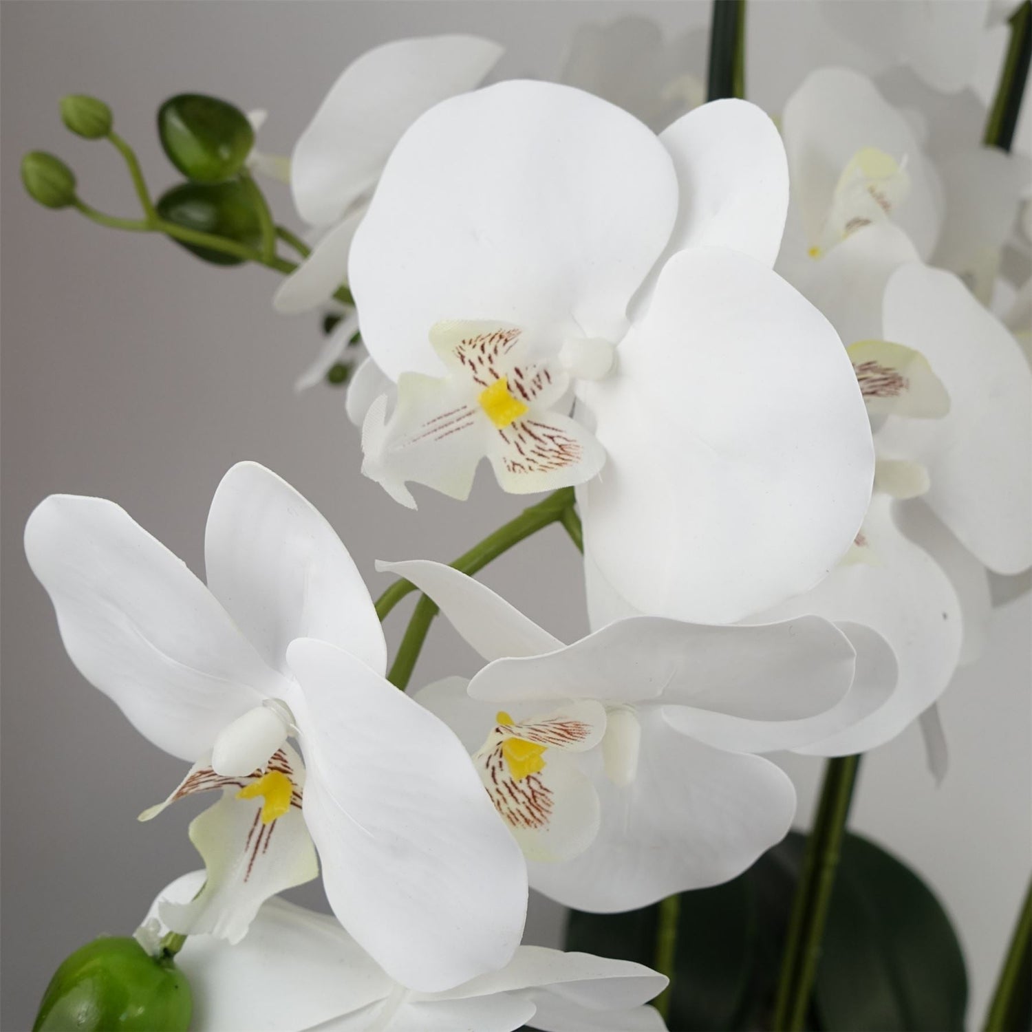 Orchid White - Marble Effect  Ceramic Planter-1