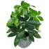 Artificial Foliage Plant Pot 50cm Artificial Money Tree Plants-0