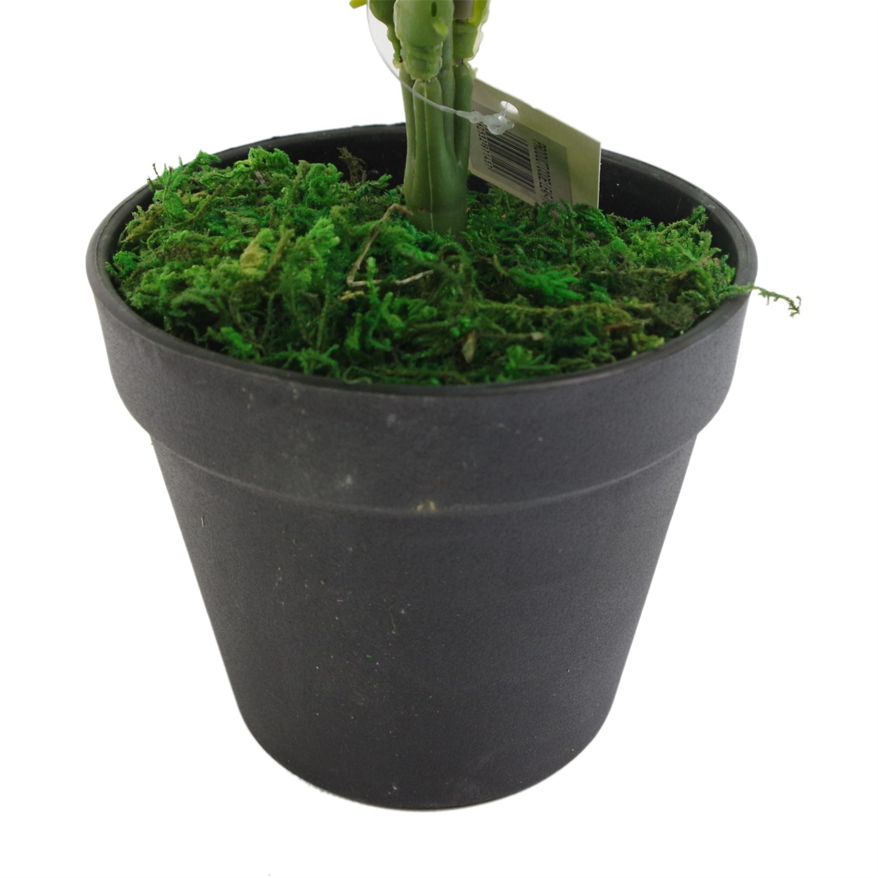 Artificial Fern Plant 50cm Fern Plants-2