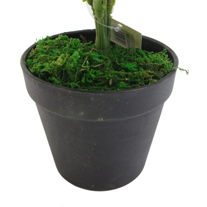 Artificial Fern Plant 50cm Fern Plants-2