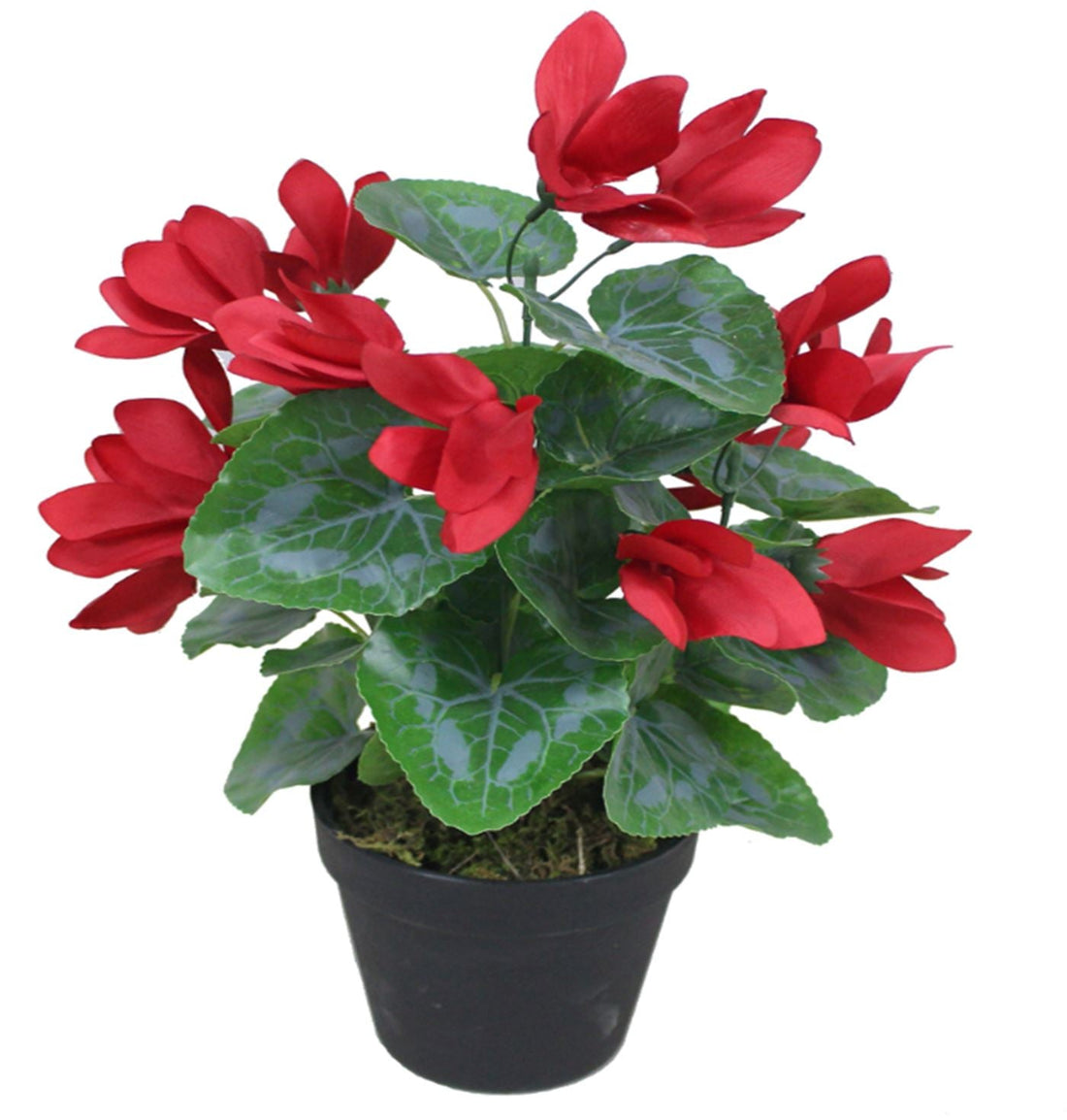 Artificial Red Flower Plant Cylamen Green Red 38cm Plants-0