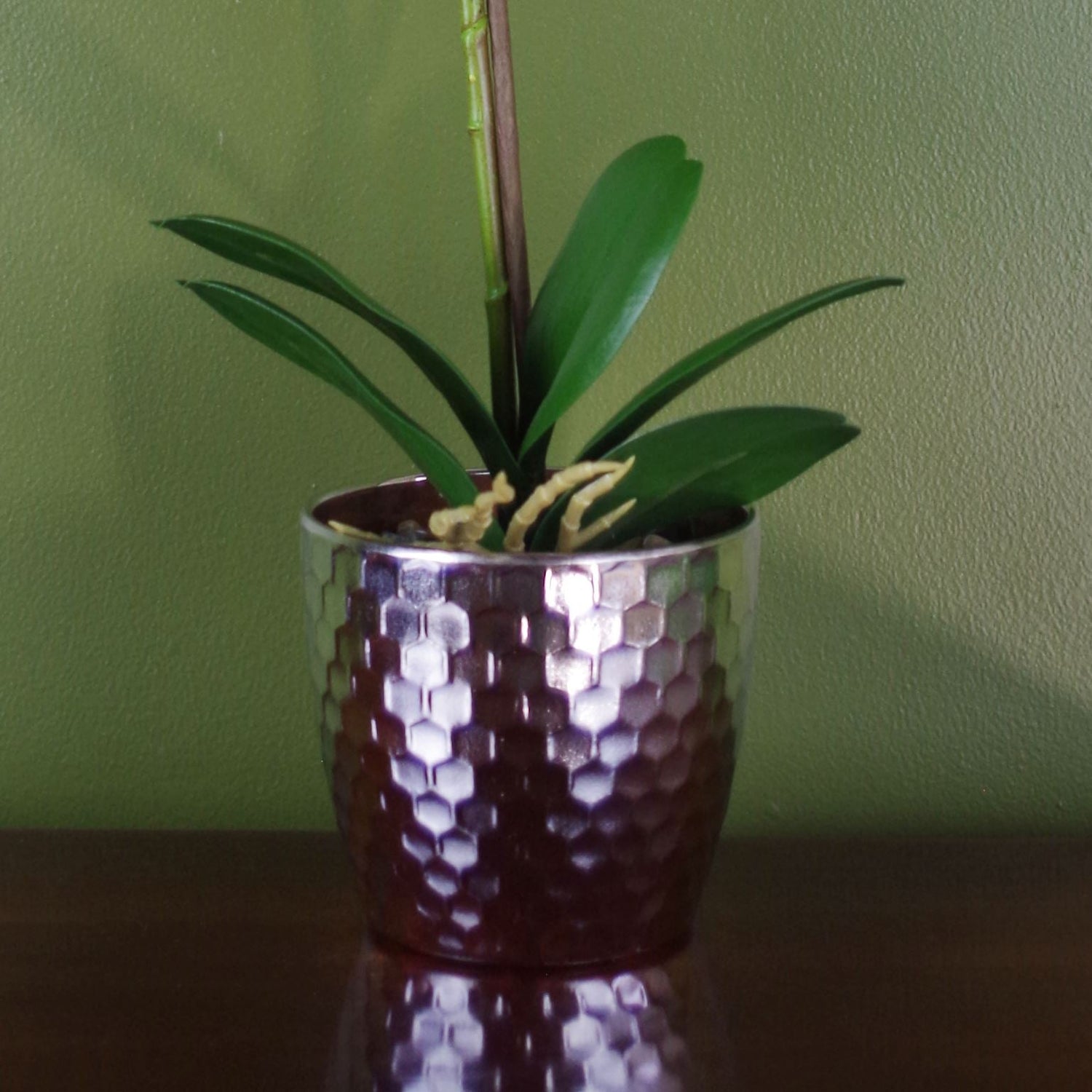 Pink Orchid Artificial Silver Pot 50cm Real Touch-2
