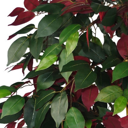 Artificial Ficus Tree Plant Red Green Capensia 120cm Plants-1