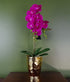 Pink Artificial Orchid Plant Gold Pot 54cm-0