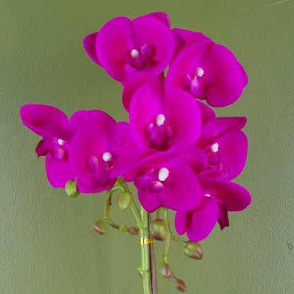 Pink Orchid Artificial Dark Silver 50cm-1
