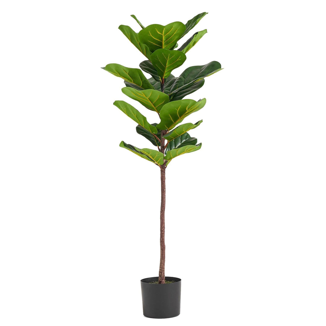 Large Fiddle Fig Tree Artificial 120cm Premium Plant-0