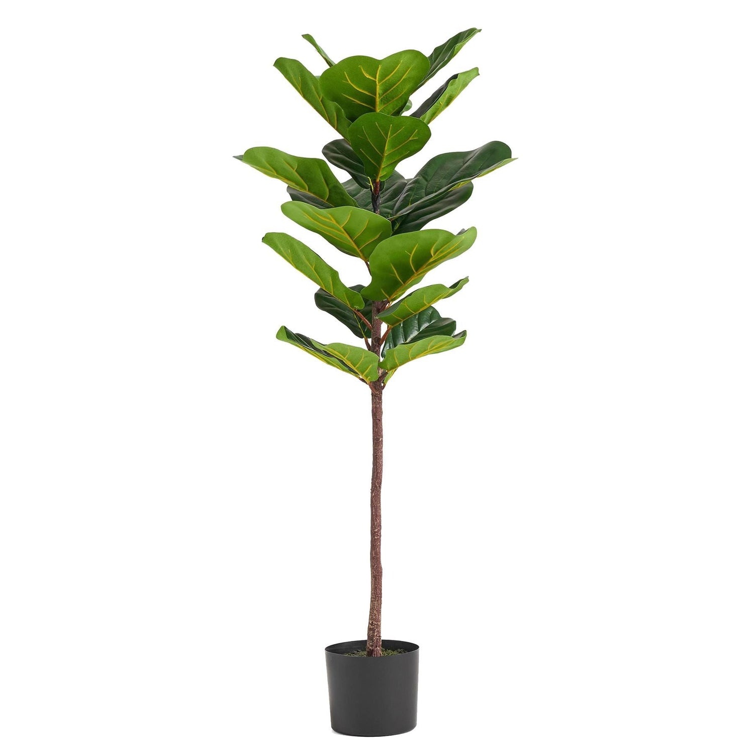 Large Fiddle Fig Tree Artificial 120cm Premium Plant-0