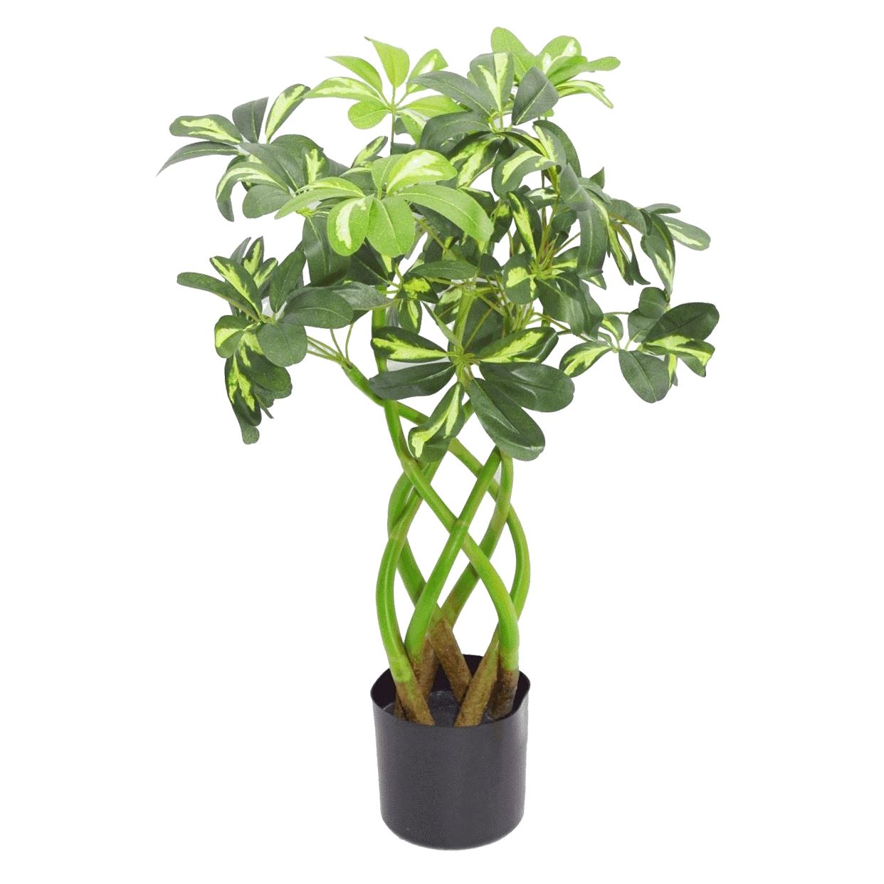 70cm Artificial Twisted Stem Modern Arboricola Artificial Plant Bonsai Bush Botanik-0