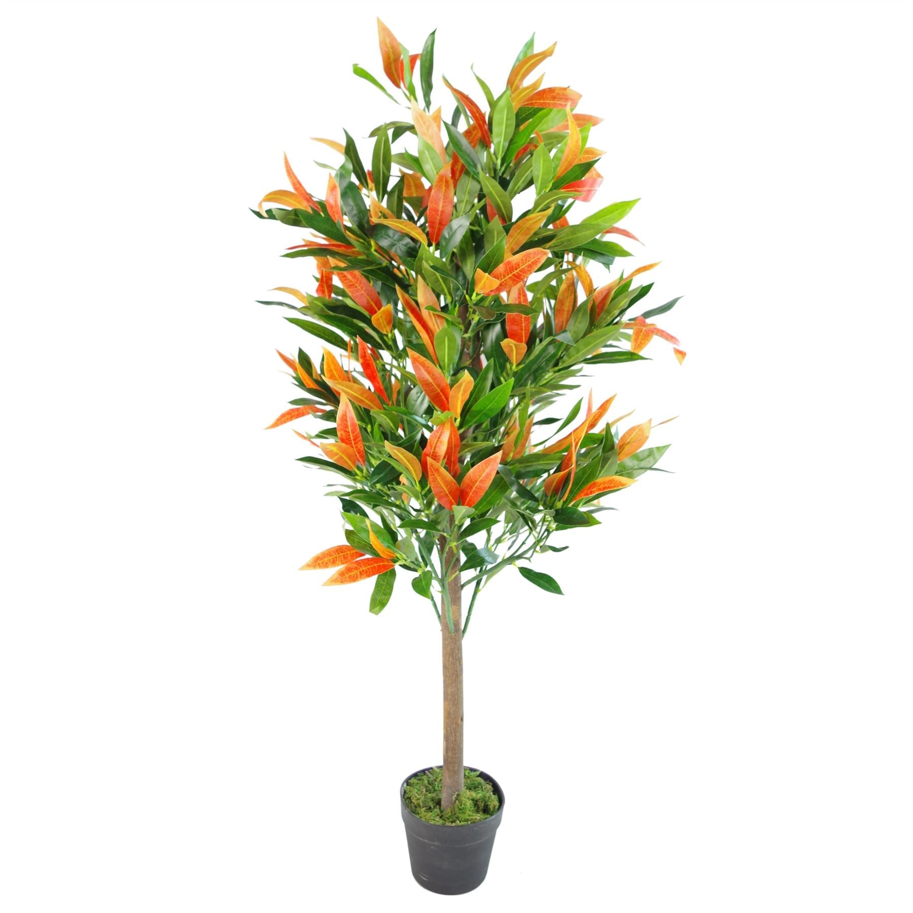 Artificial Ficus Tree Plant Red Green Ficus 130cm Real Wood Trunk Realistic Botanik-0