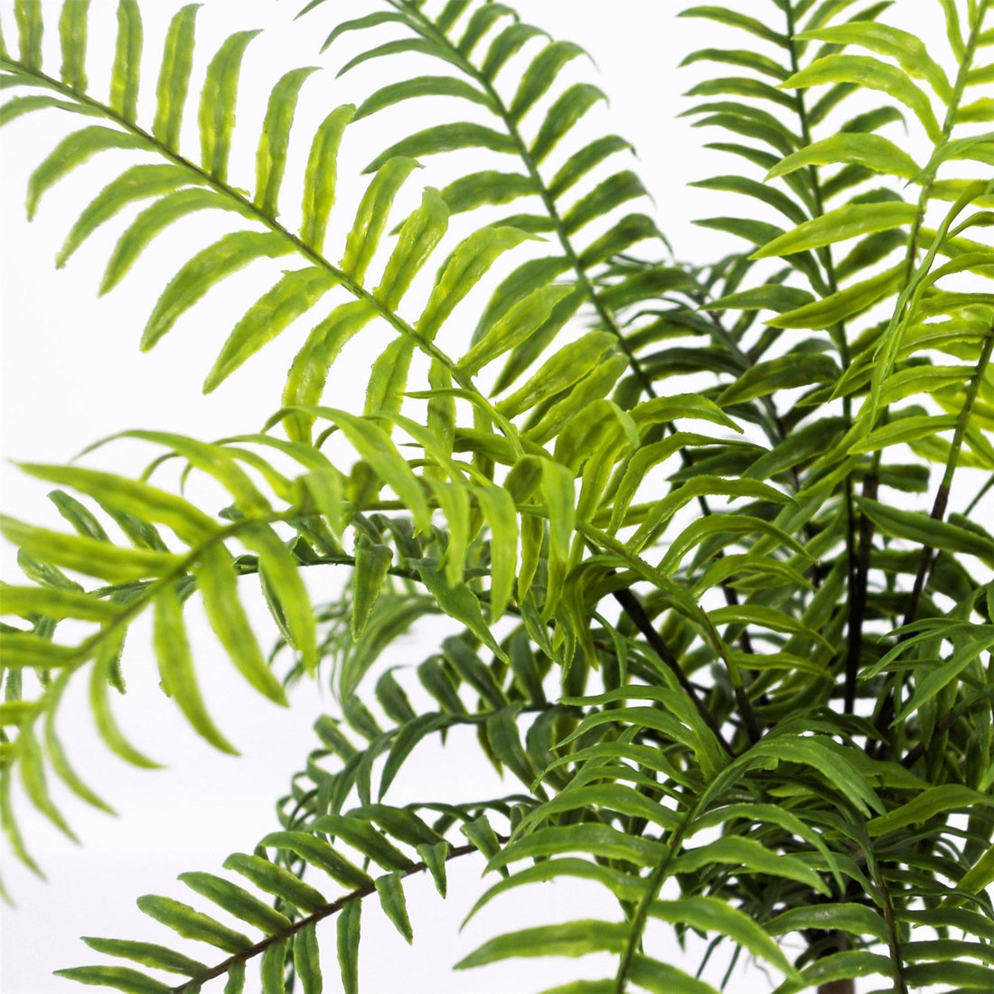 Fern Plant Artificial Realistic 50cm Artificial Boston Fronded Fern Plant-1