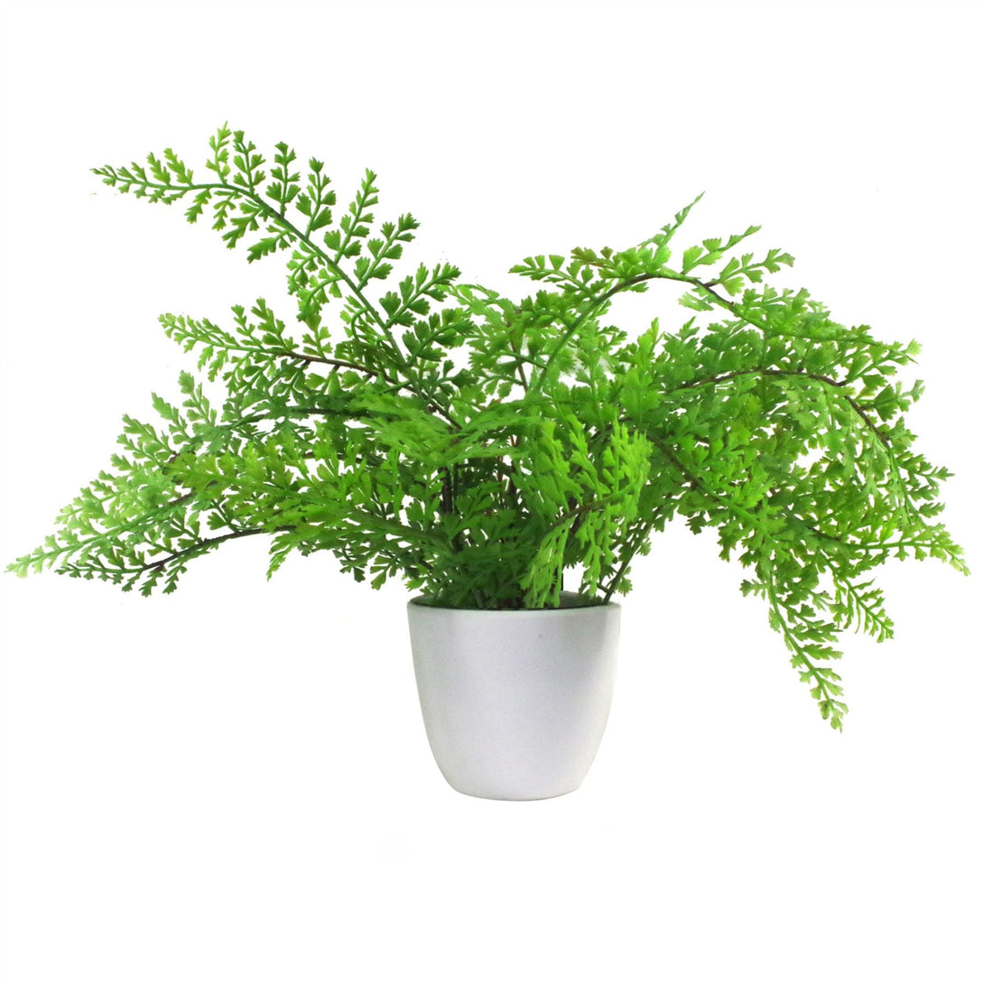 Artificial Fern Plant 30cm Forest Fern 30cm Display-1
