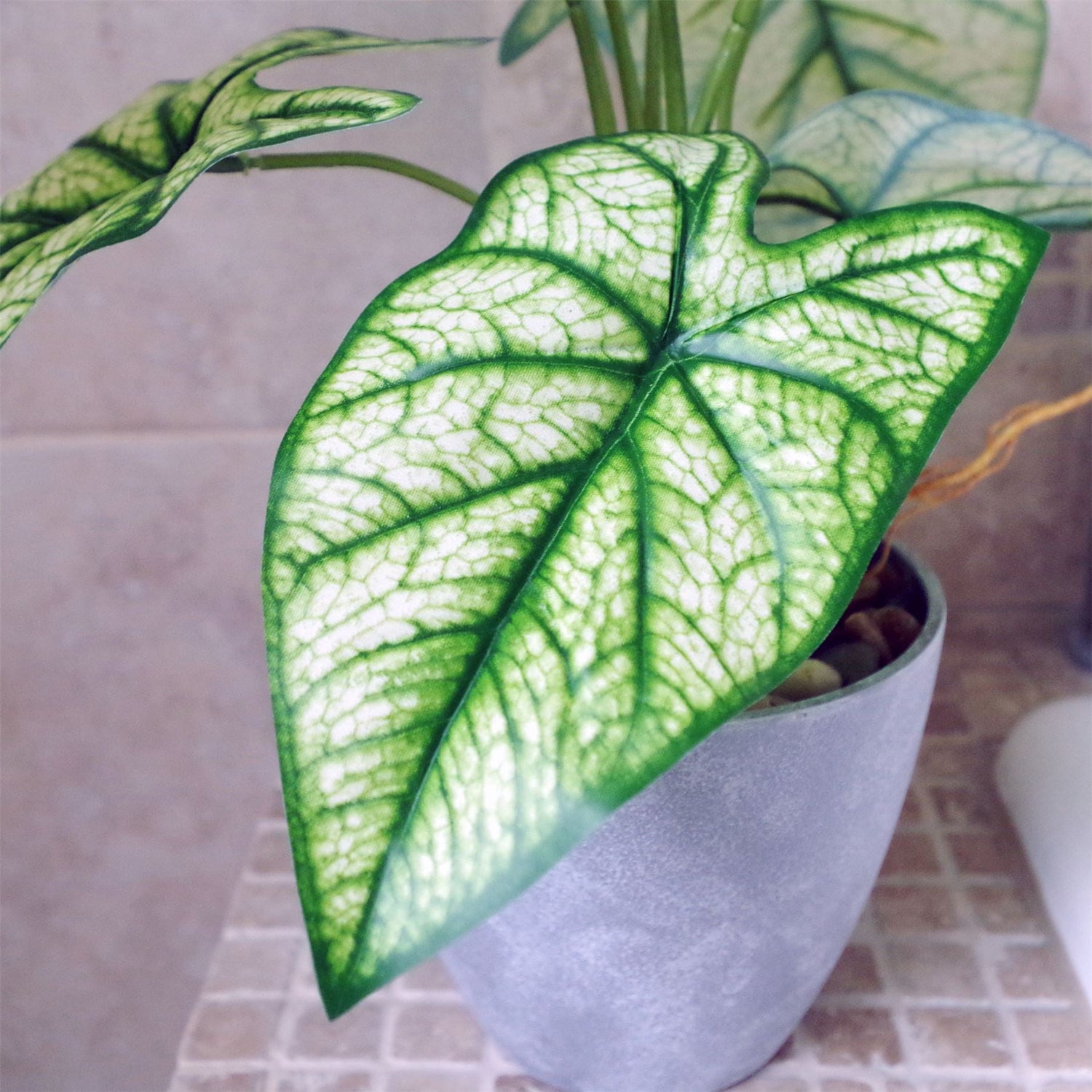 Artificial Plant Realistic Natural Taro in Decorative Planter Botanik-2