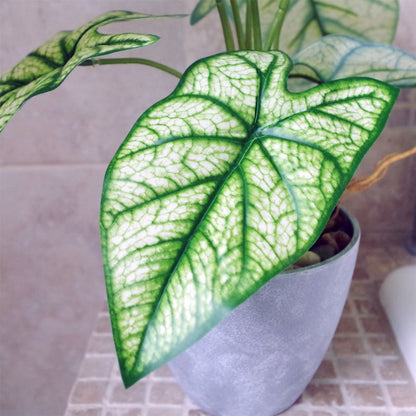 Artificial Plant Realistic Natural Taro in Decorative Planter Botanik-2