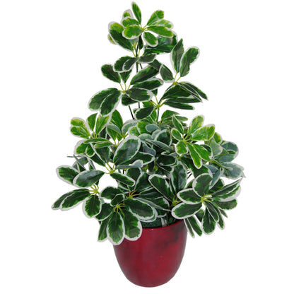Artificial Arboricola Plant Umbrella Tree Black Plastic Pot 55cm-3