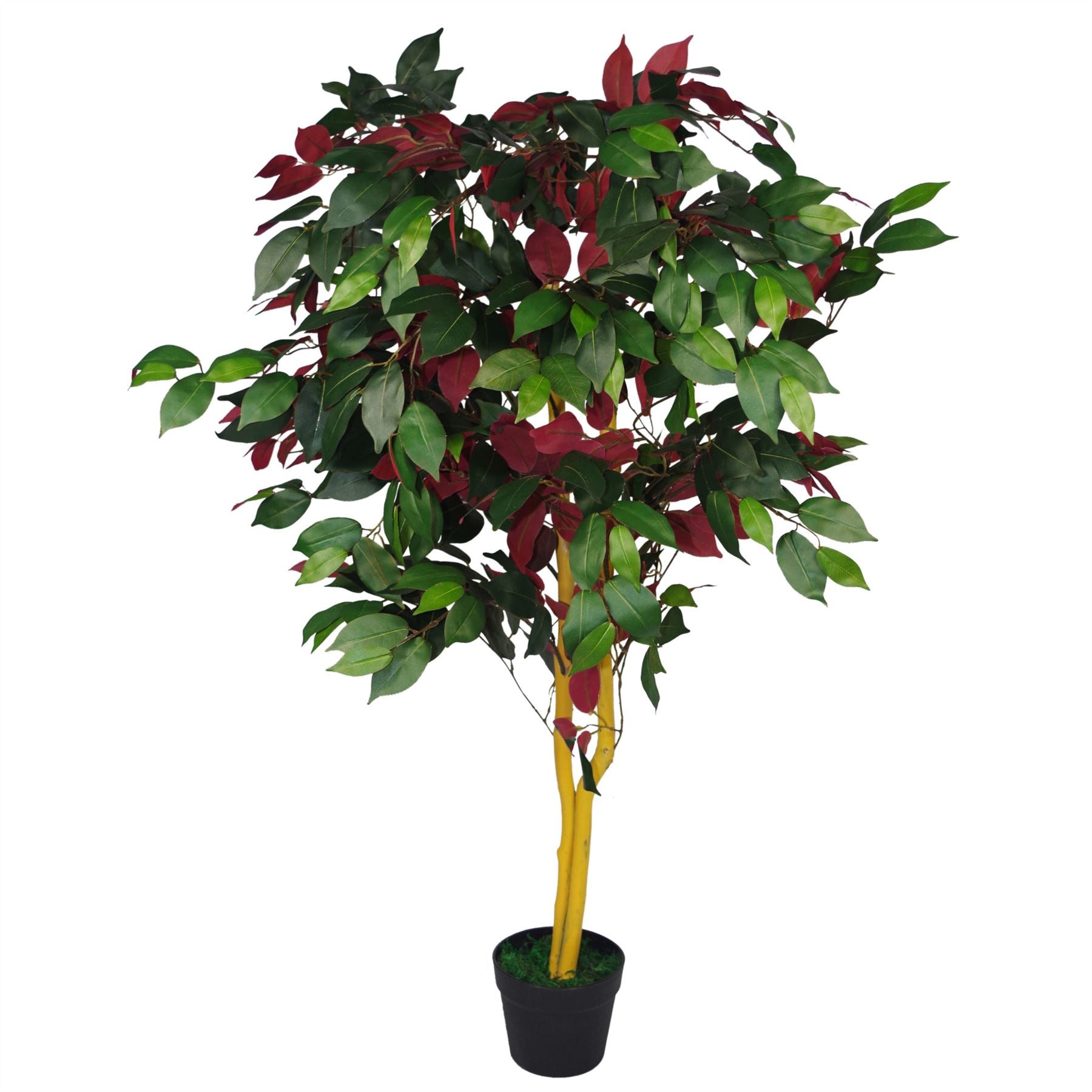 Artificial Ficus Tree Plant Red Green Capensia 120cm Plants-0
