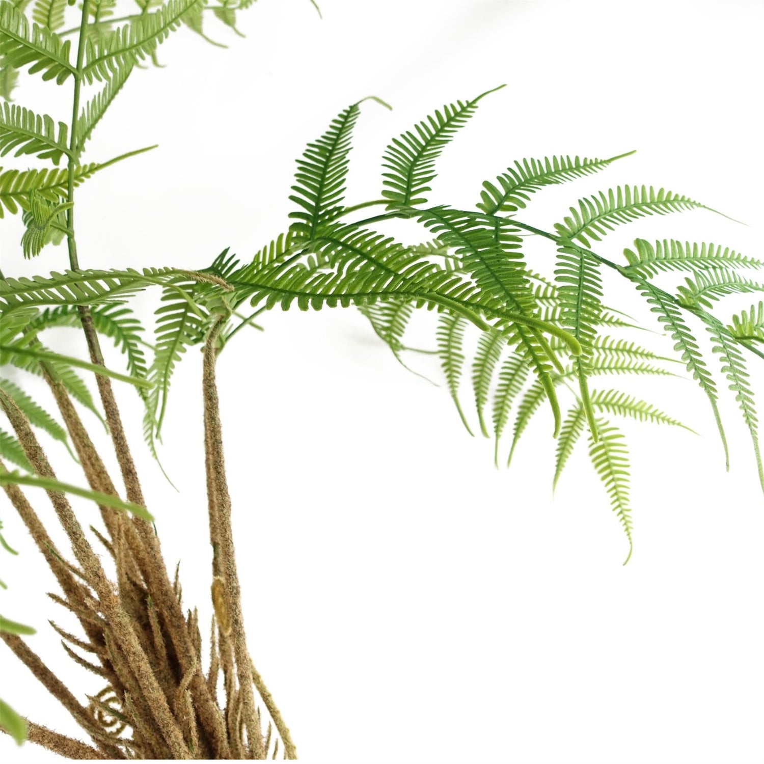 Artificial Fern Tree Look-1