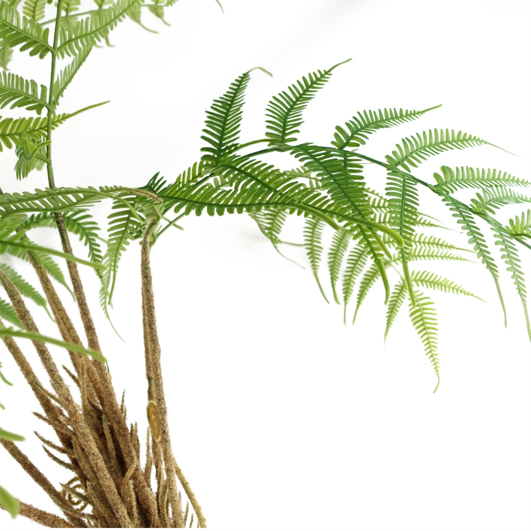 Artificial Fern Tree Look-1