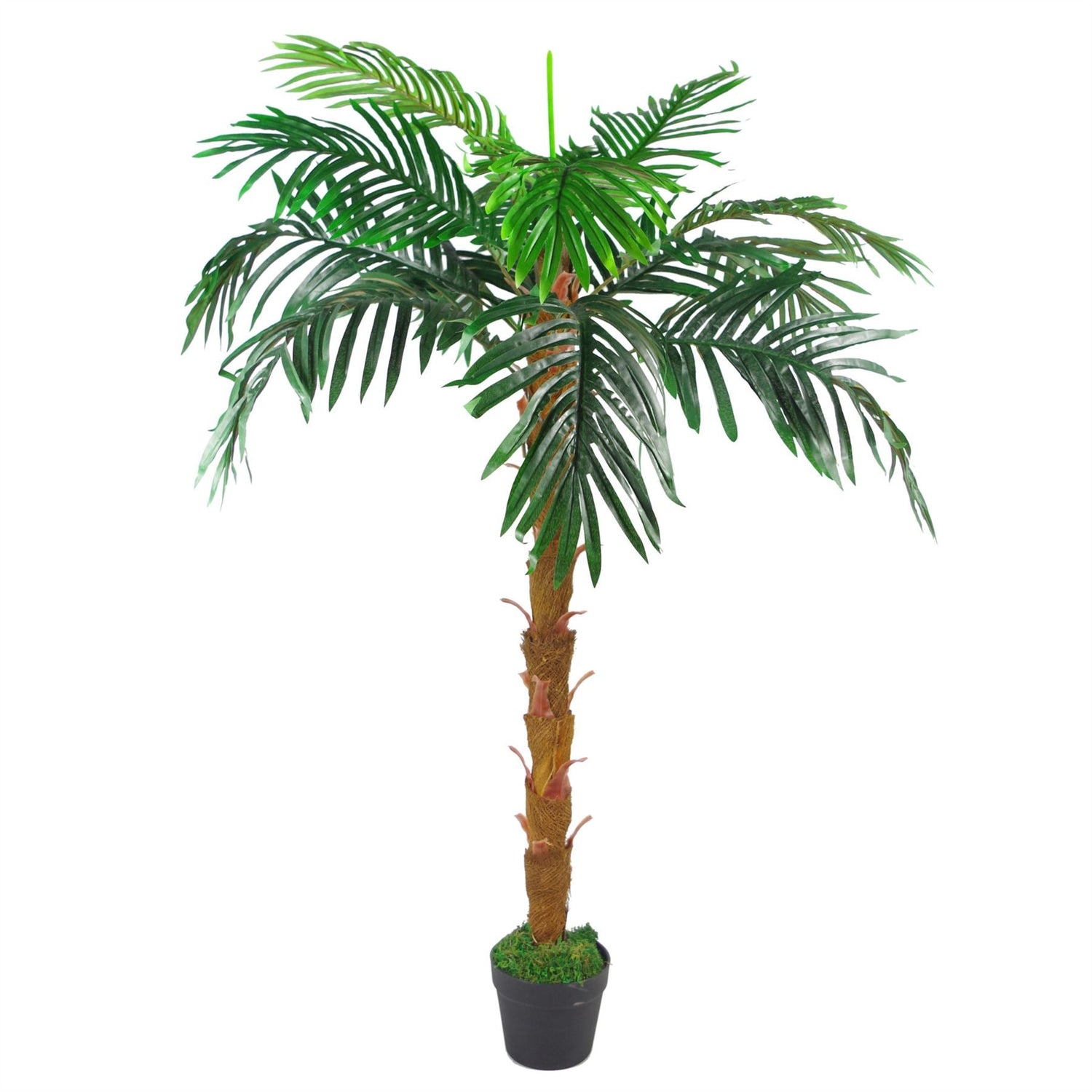 Artificial Palm Tree 130cm Brown Trunk Princess Palm-0