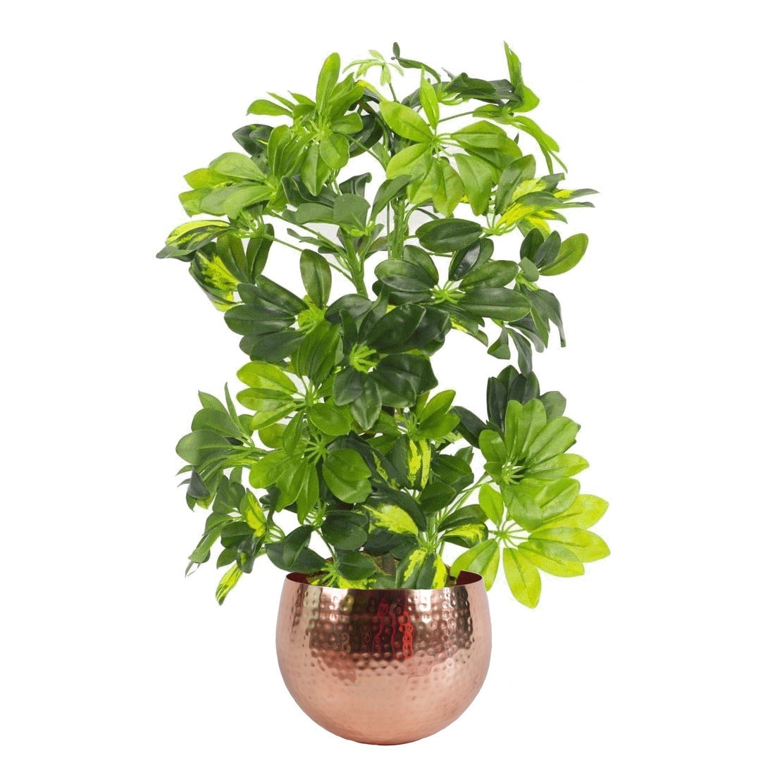 Artificial Capella Plant | Capella Plant | Everlasting Greenery Co.