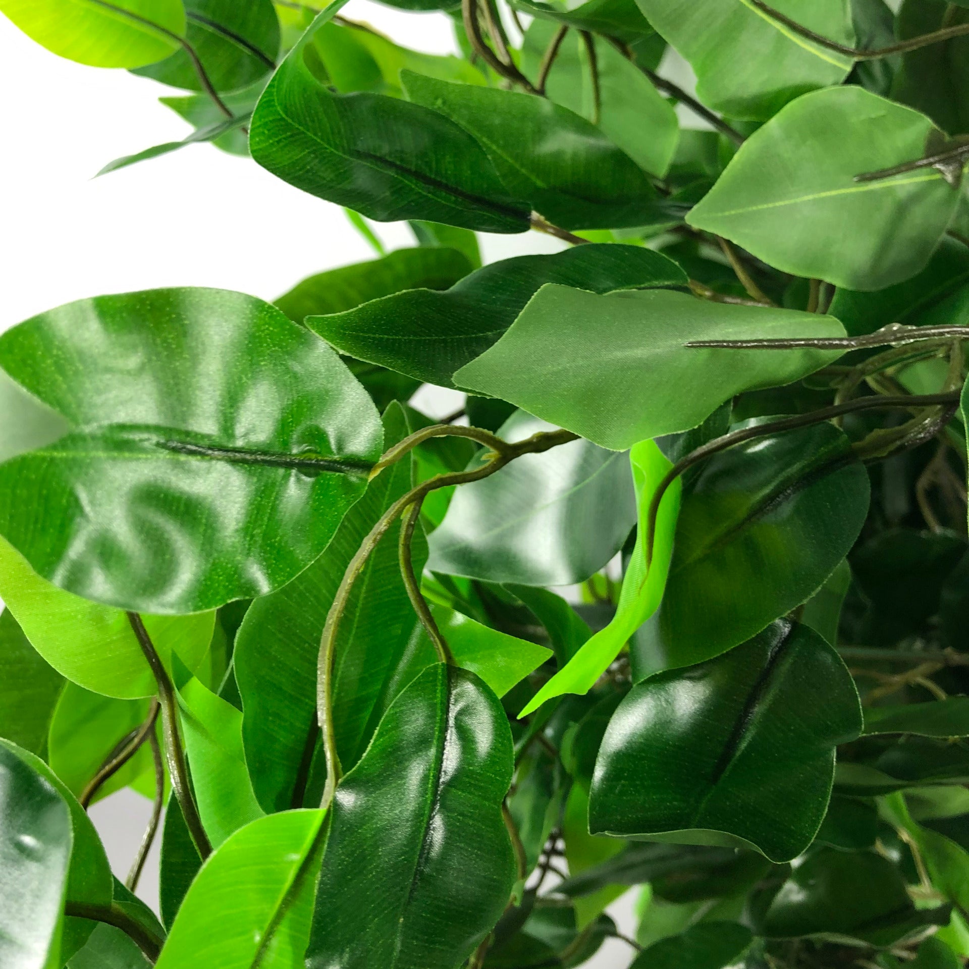 Artificial Ficus Bush Tree | Ficus Bush Tree | Everlasting Greenery Co.